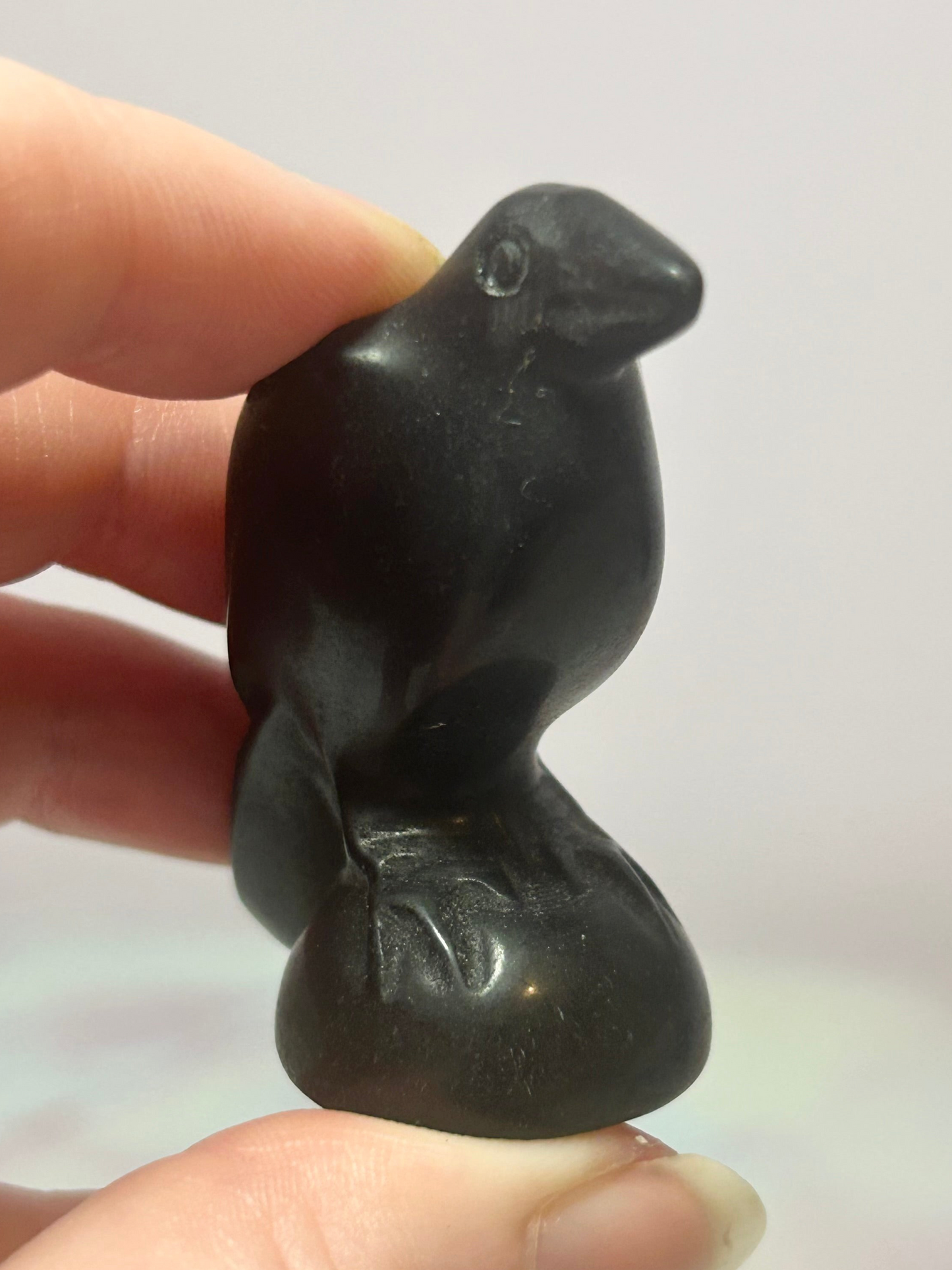 Black Obsidian Raven