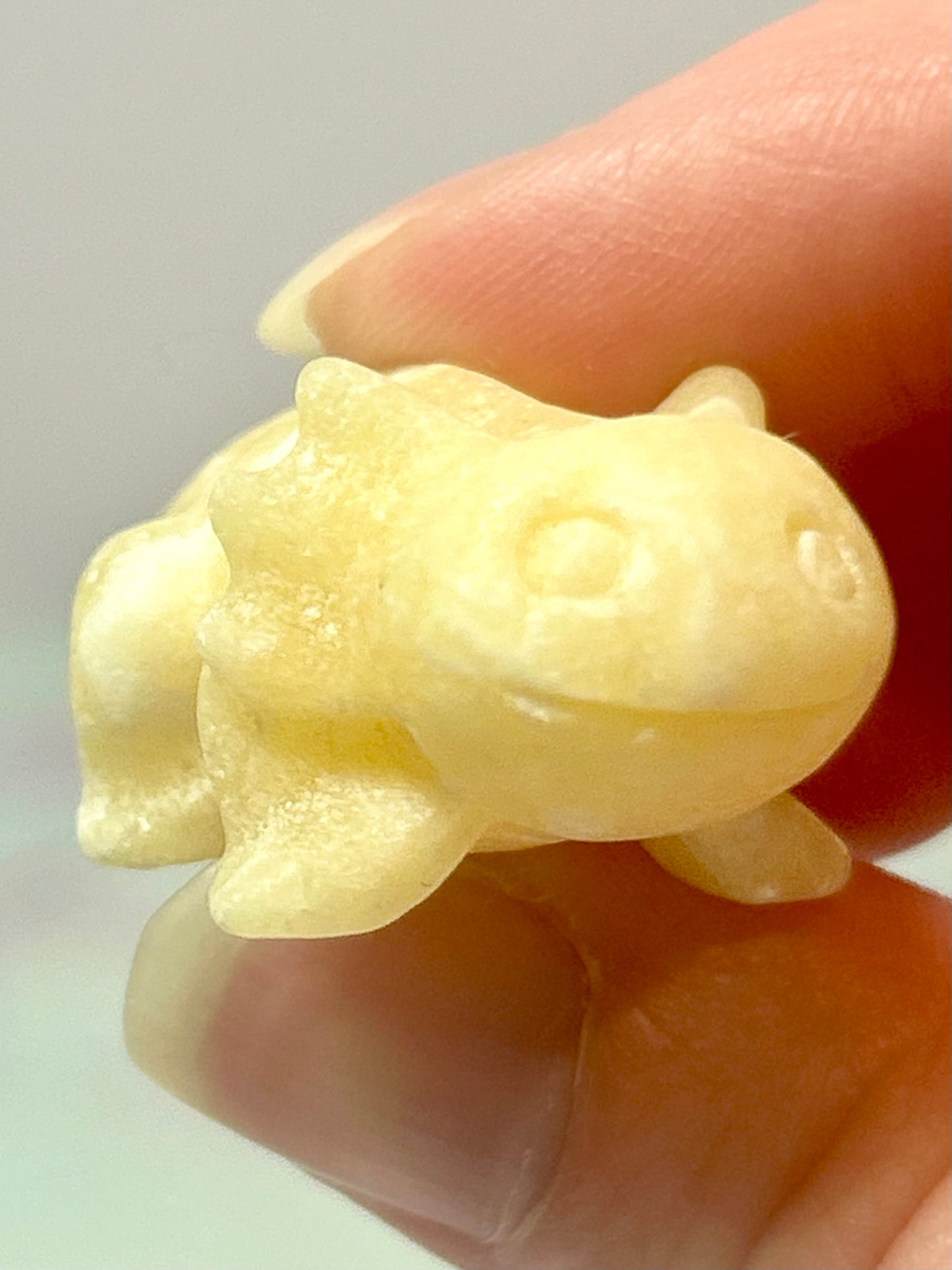 Axolotl Carvings