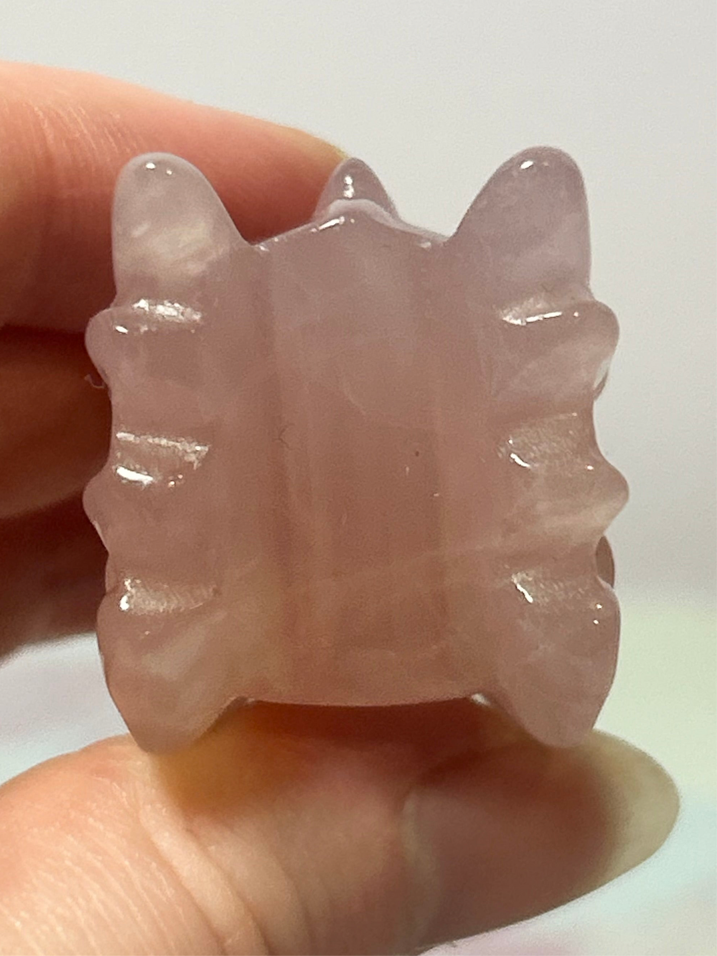 Rose Quartz Dragon Heads