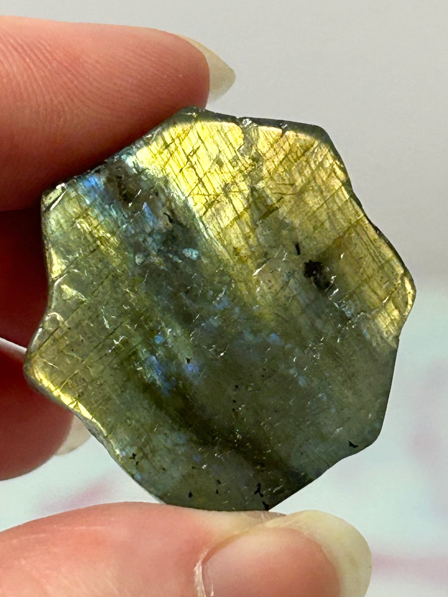Labradorite Spider B