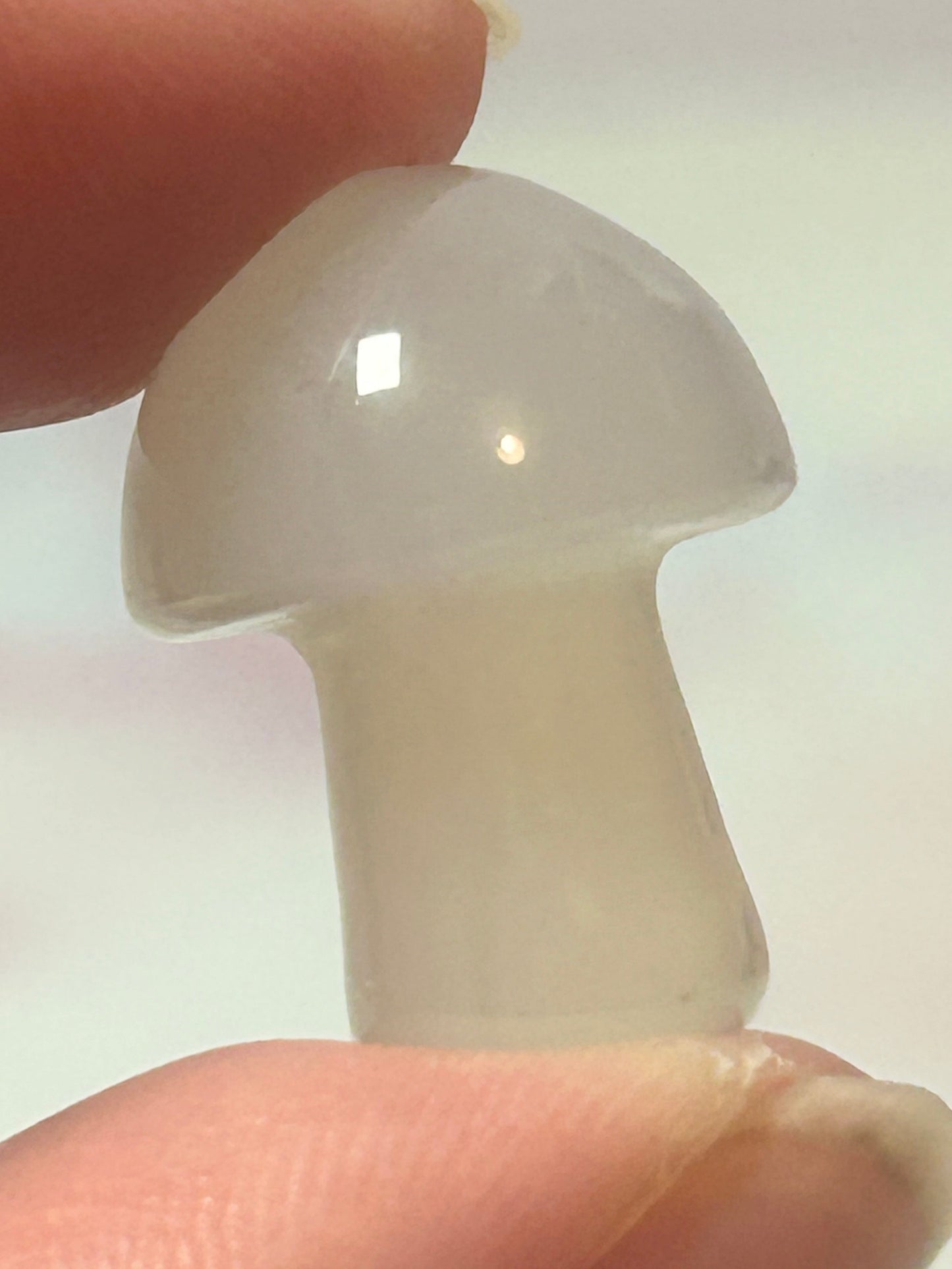 Agate Mushrooms