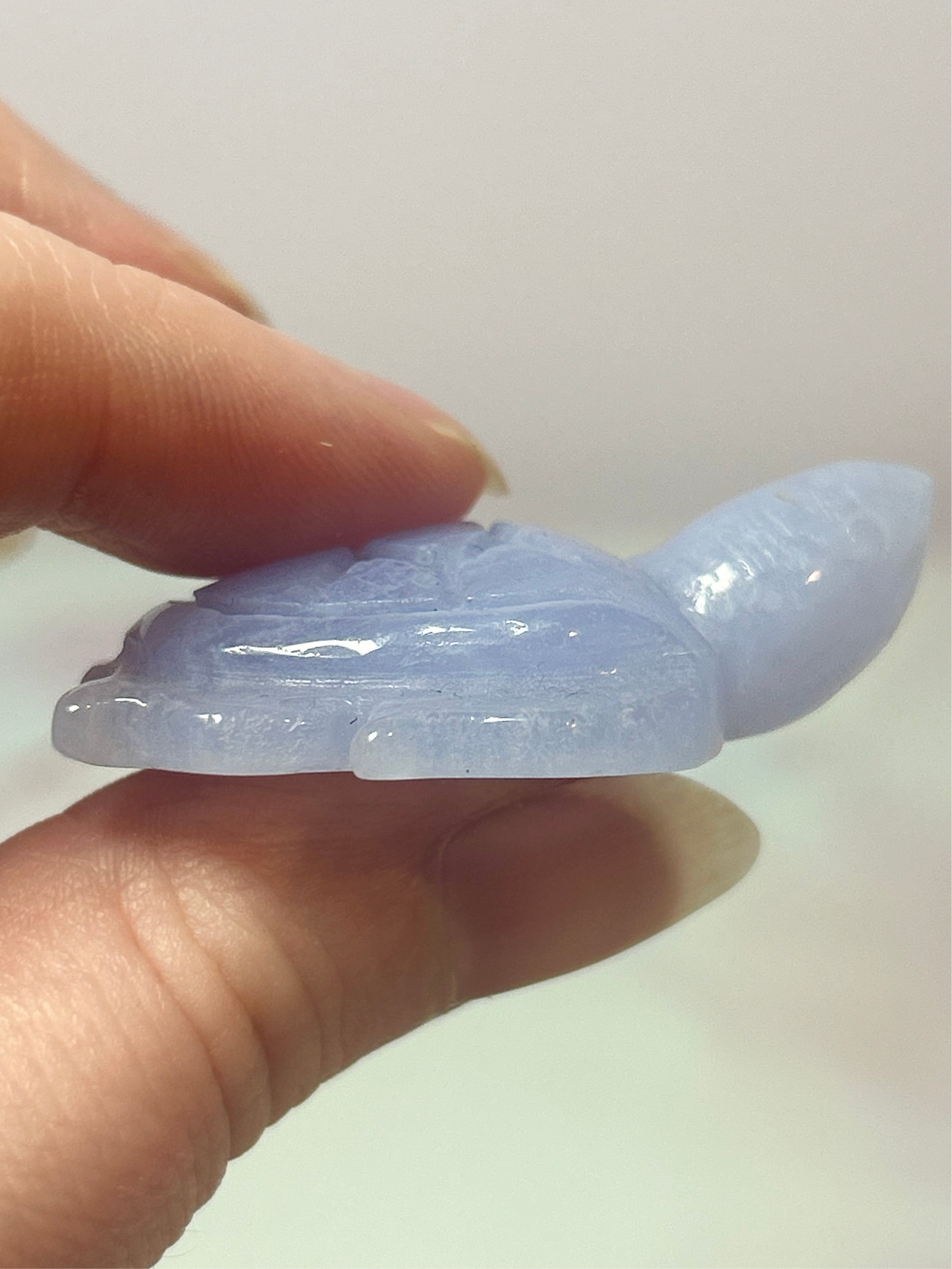 Blue Lace Agate Turtles