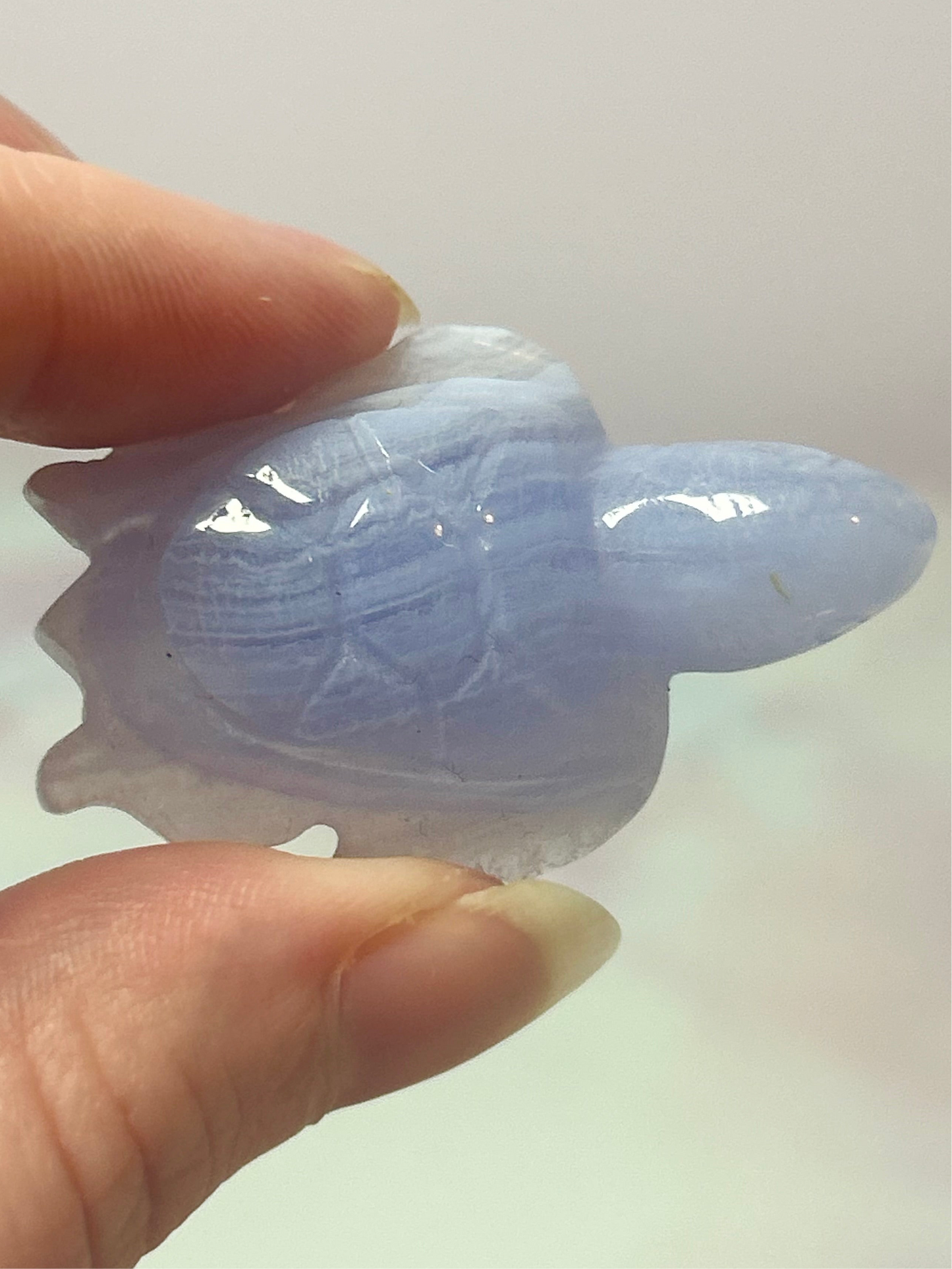 Blue Lace Agate Turtles