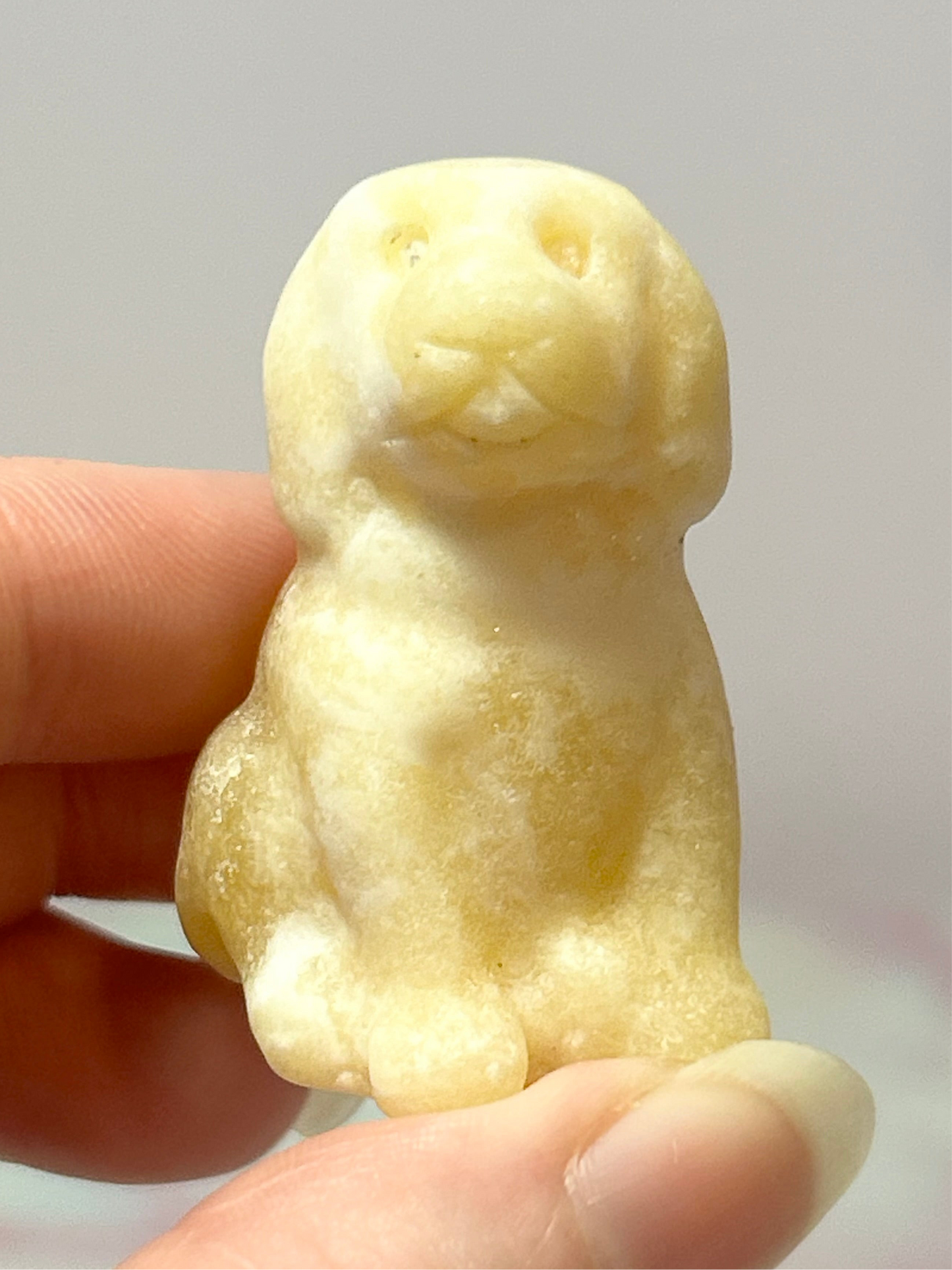 Dog Carvings