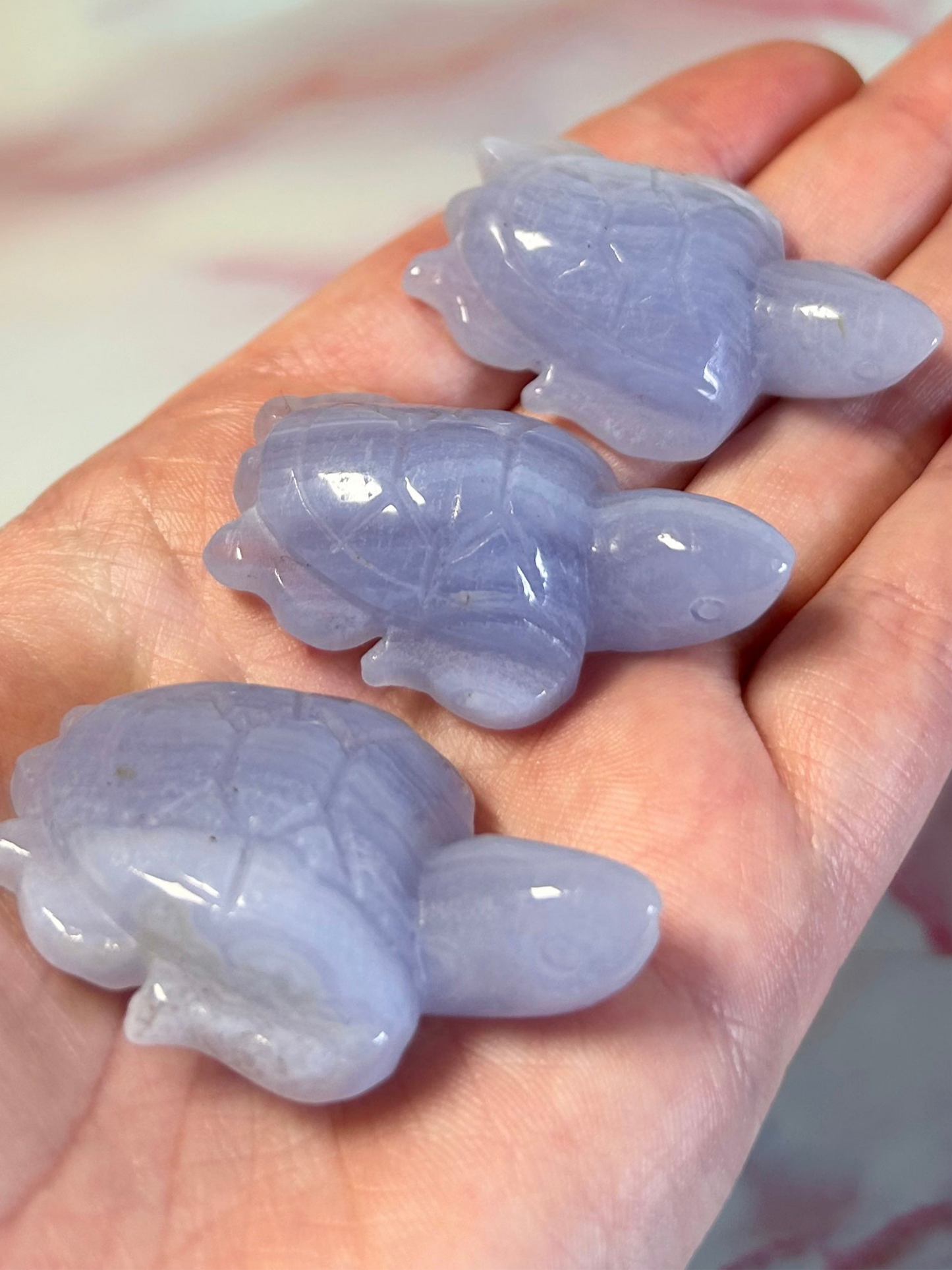 Blue Lace Agate Turtles