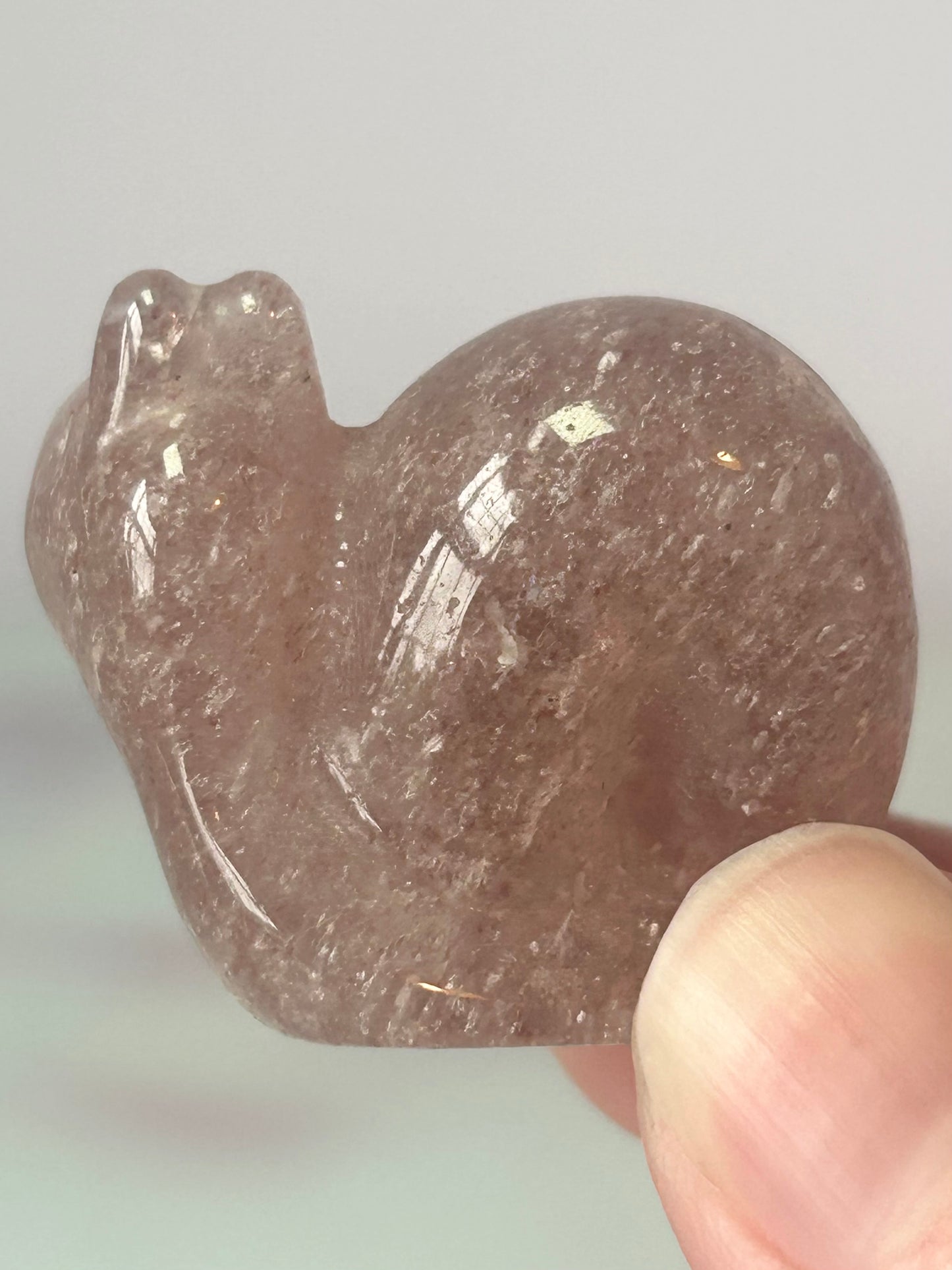 Strawberry Quartz Snail