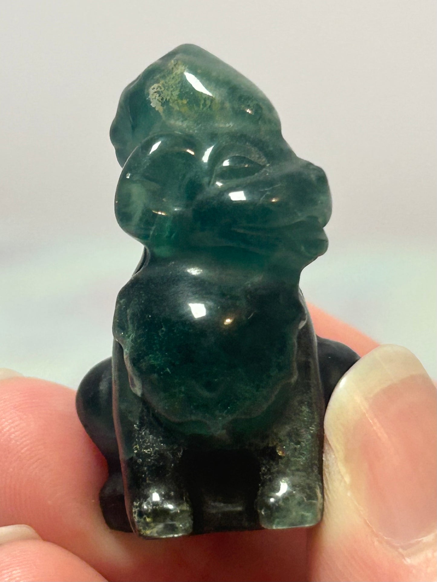 Fluorite Pokemon