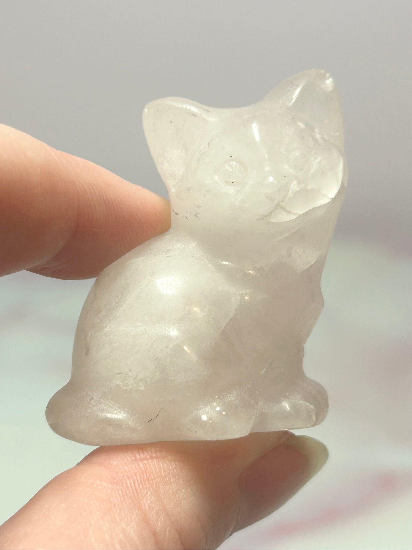 Cat Carvings B