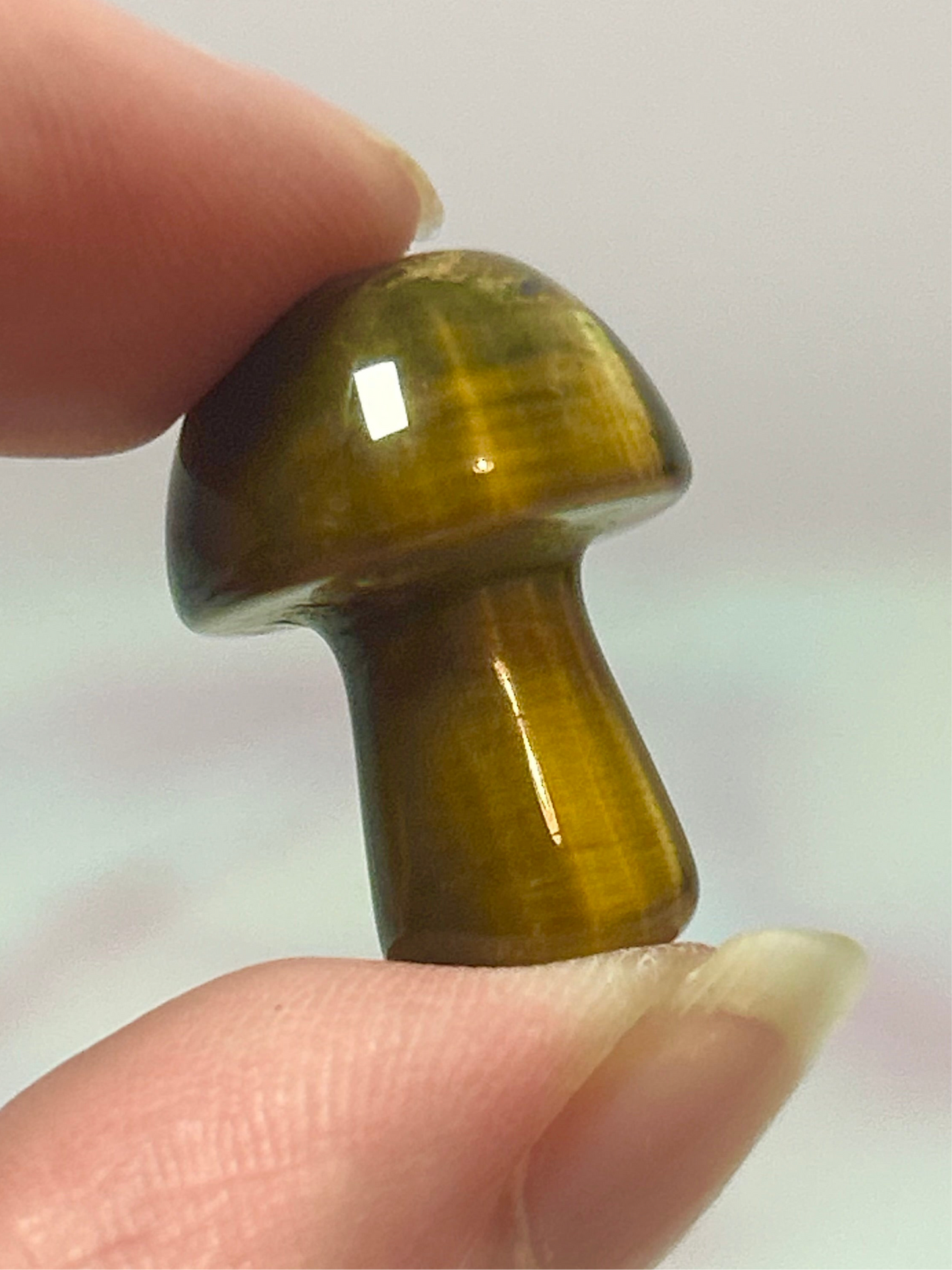 Mushroom Carvings