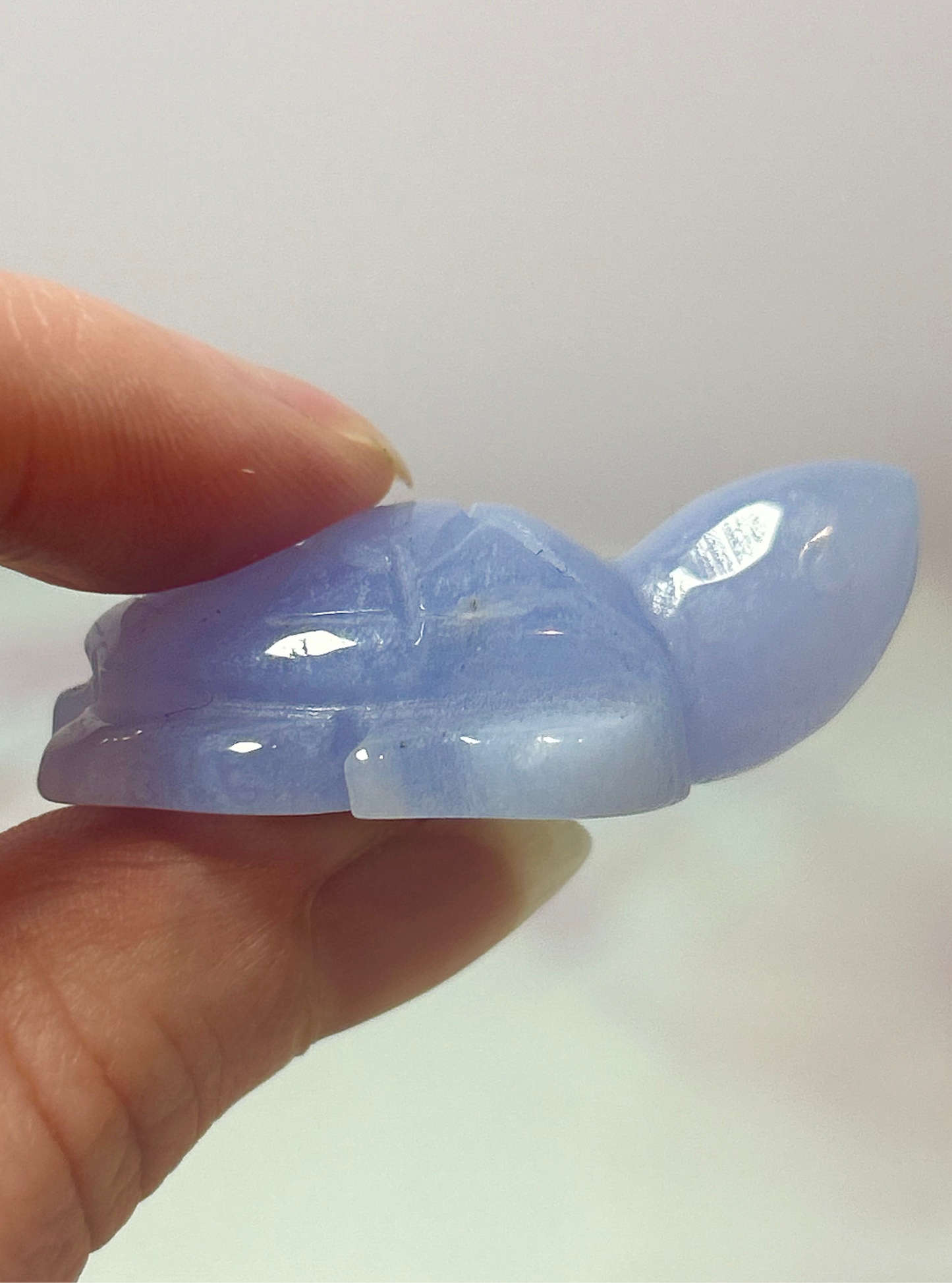 Blue Lace Agate Turtles