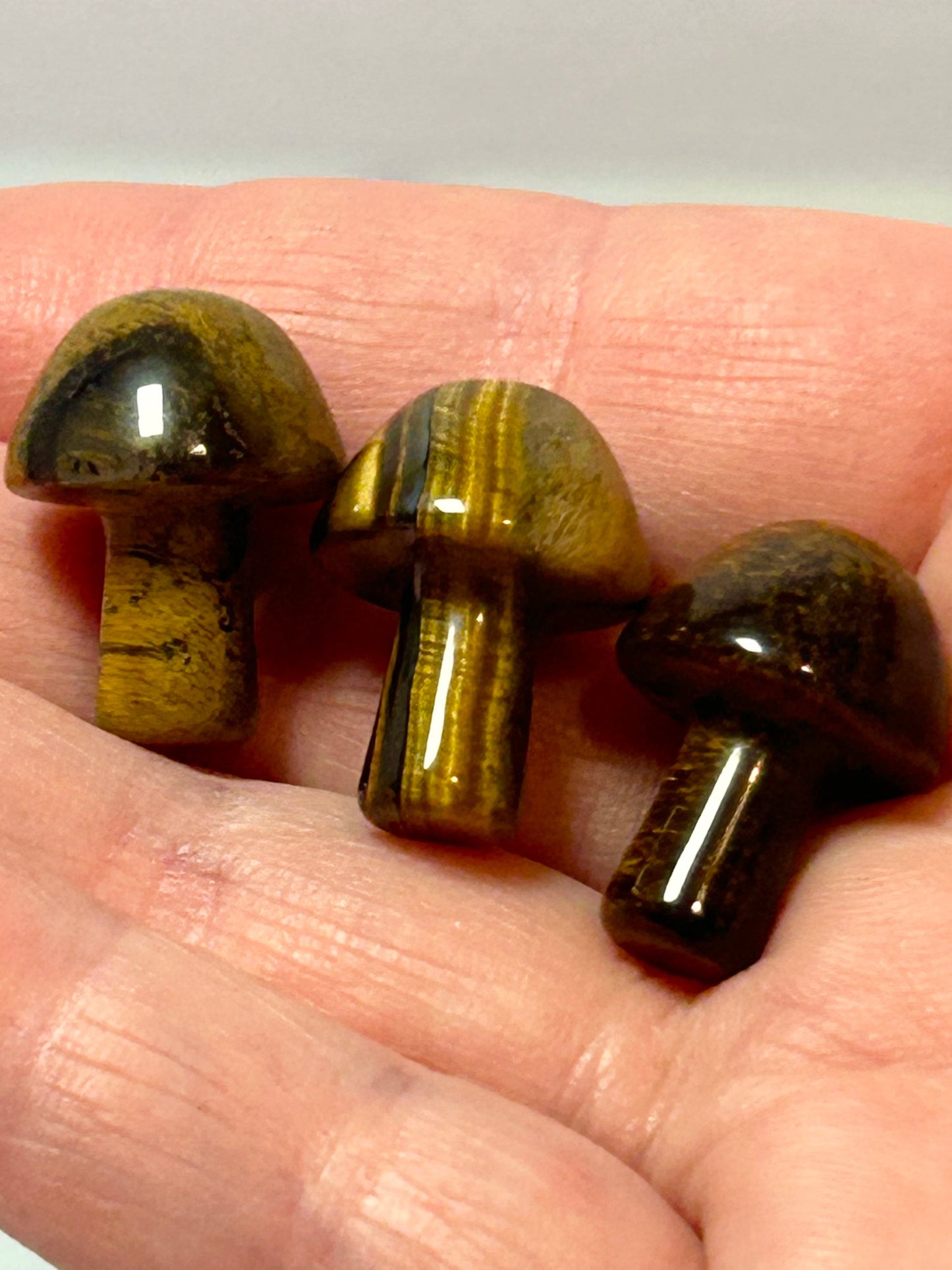 Tigers Eye Mushroom