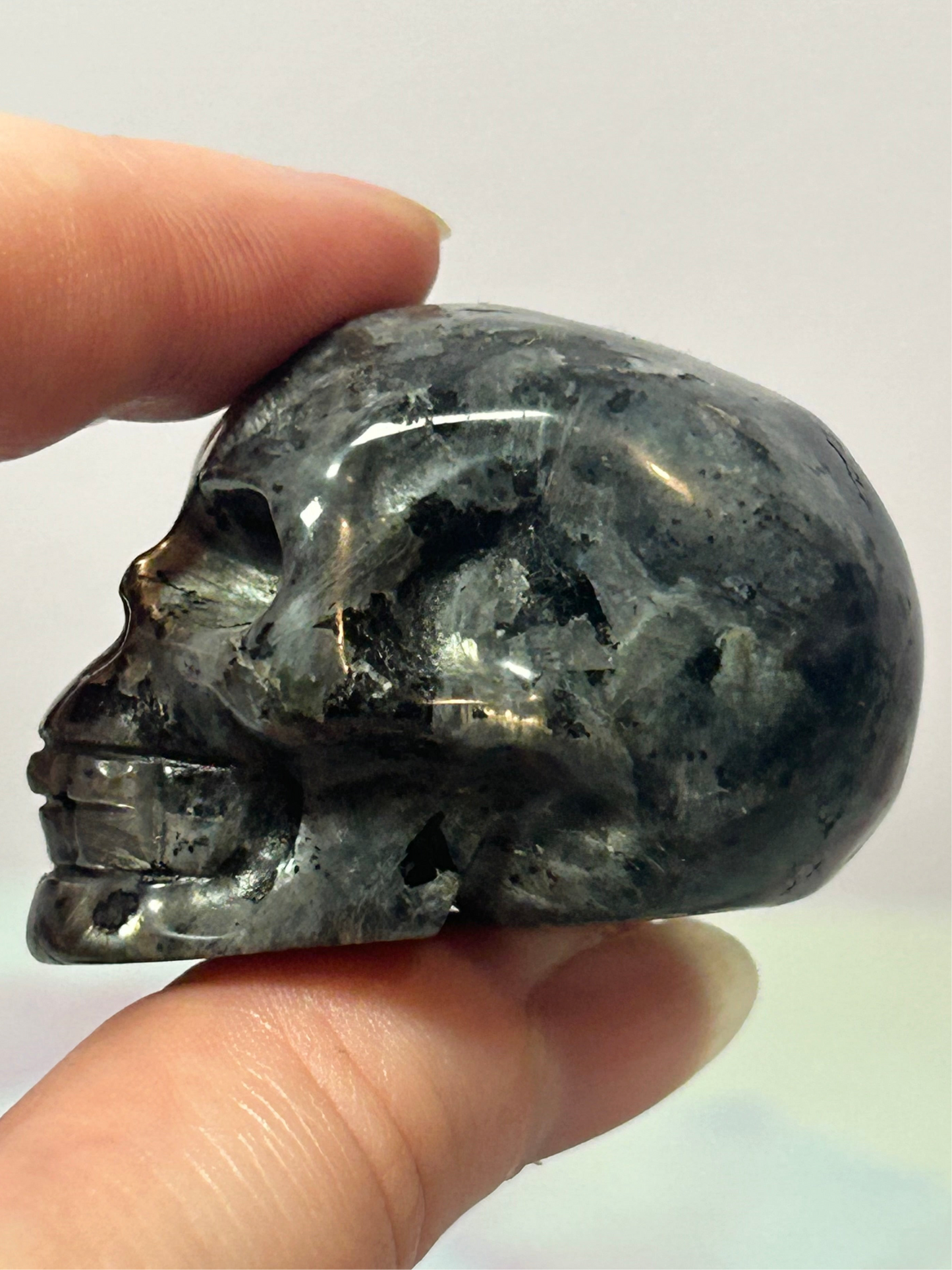 Larvikite Skull
