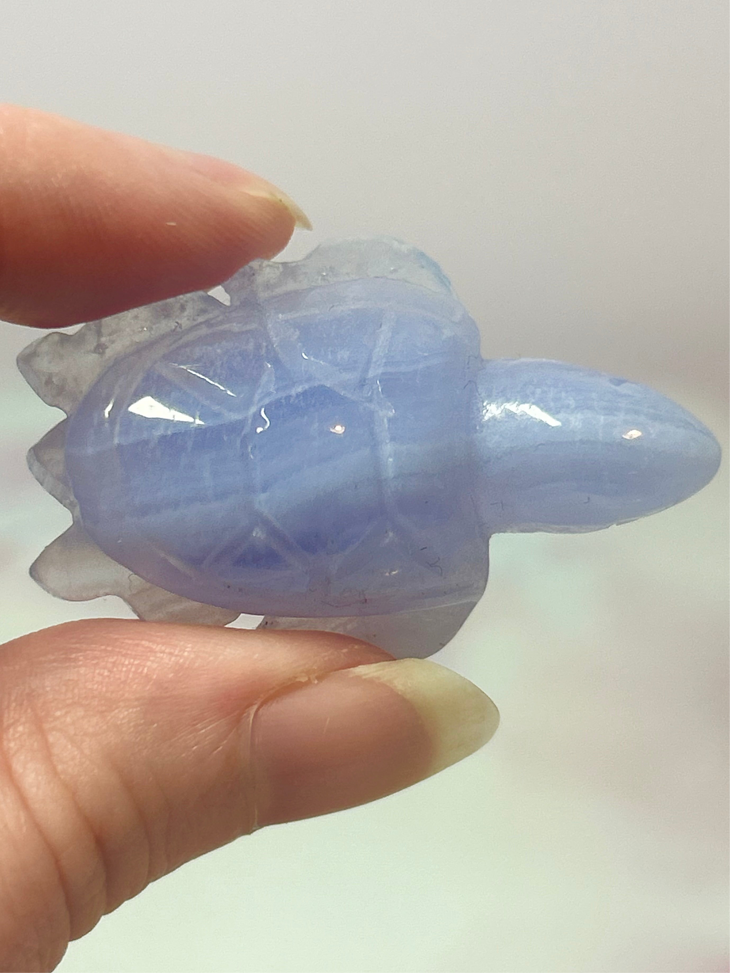 Blue Lace Agate Turtles