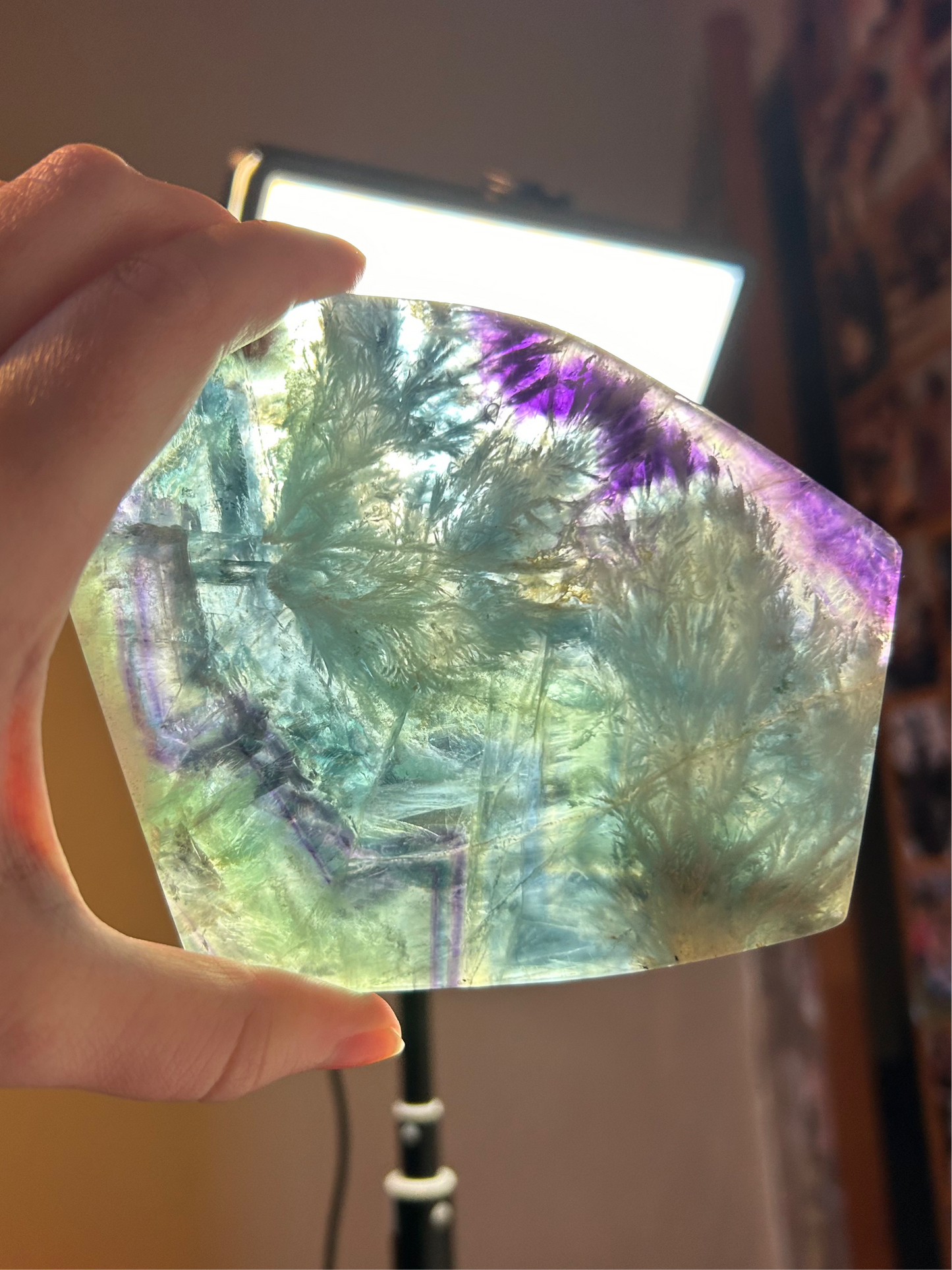 Feather Fluorite Slab C