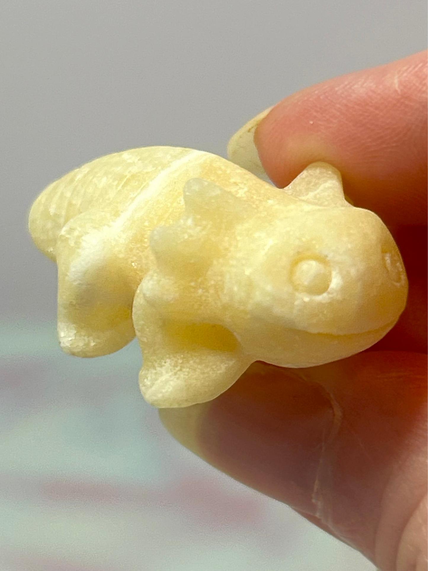 Axolotl Carvings