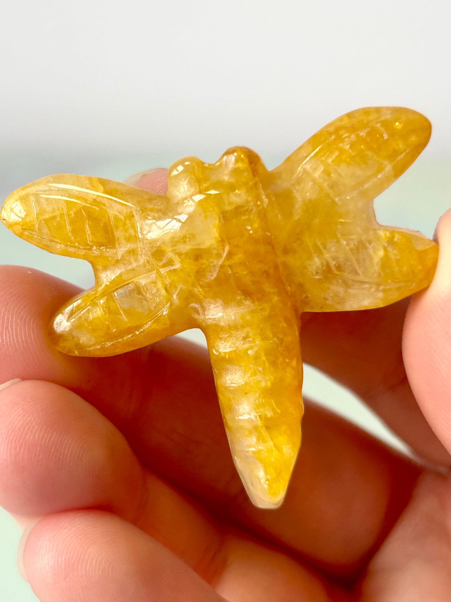 Golden Healer Dragonfly