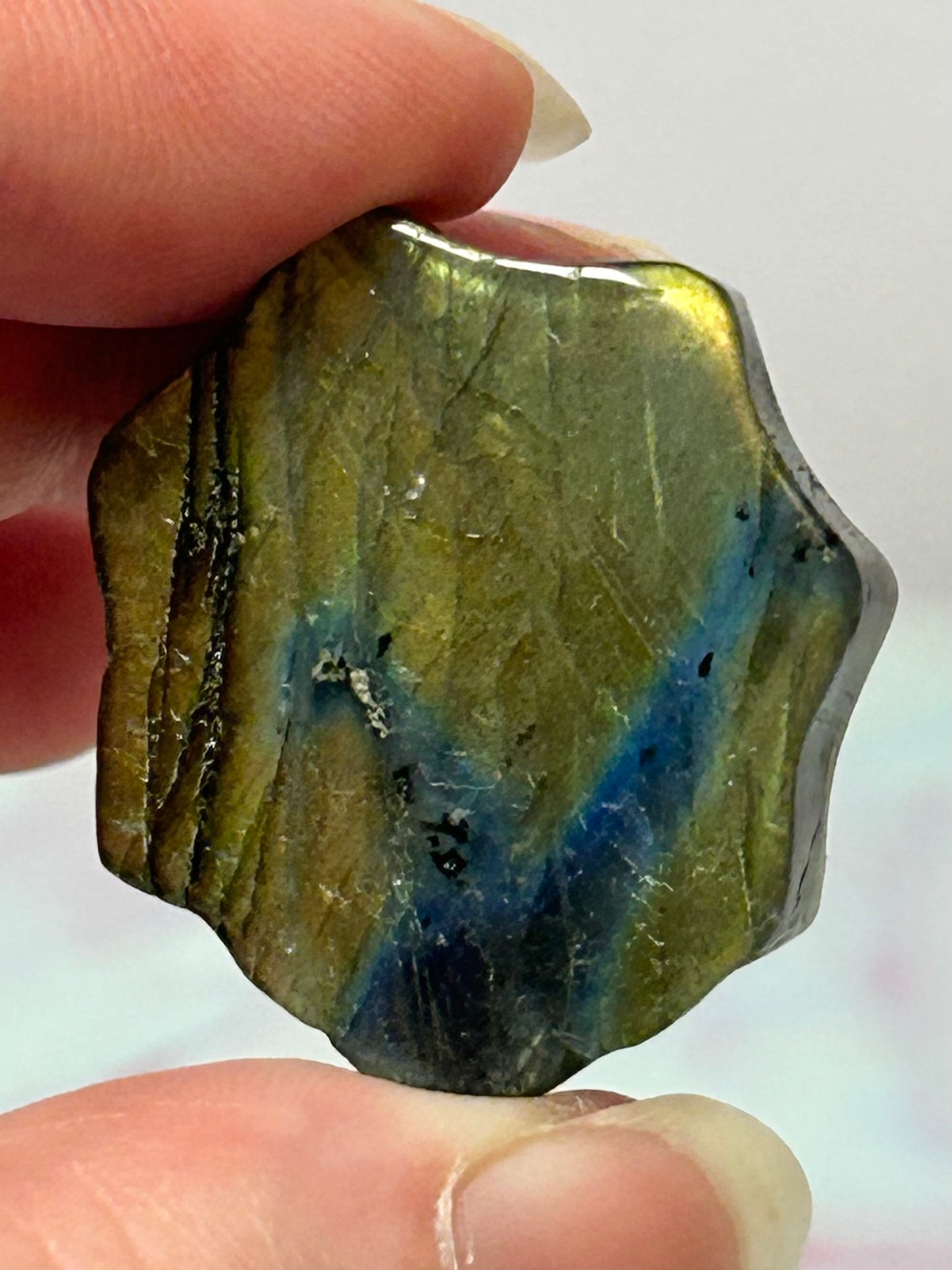 Labradorite Spider A