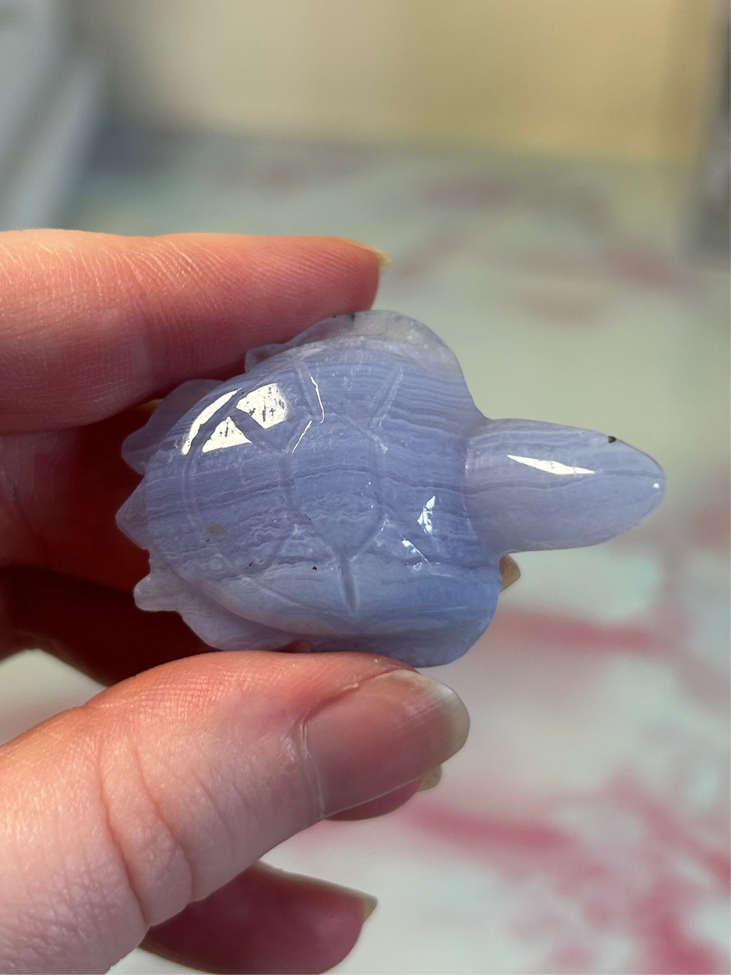 Blue Lace Agate Turtles