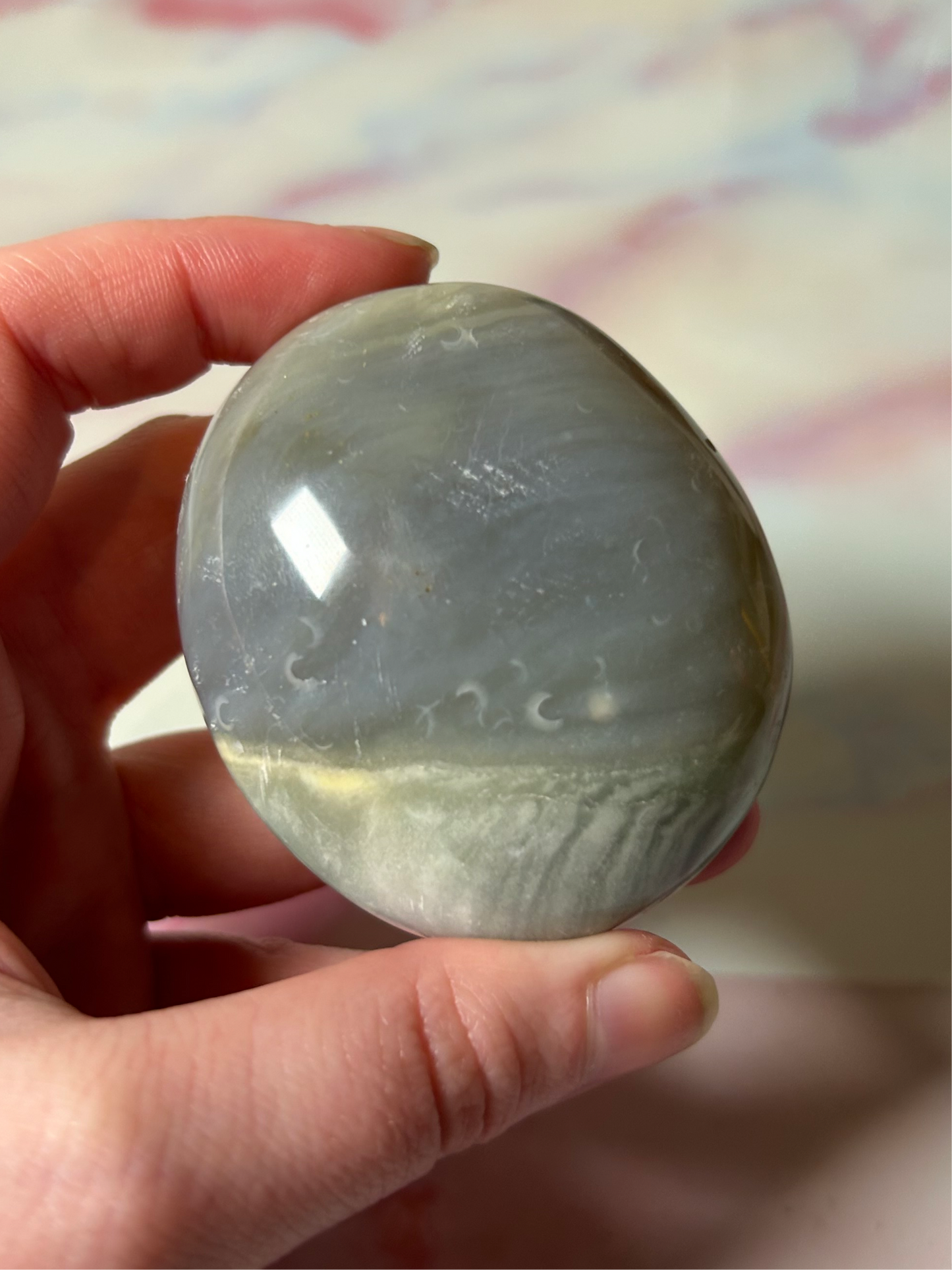 Ocean Jasper Palmstone B