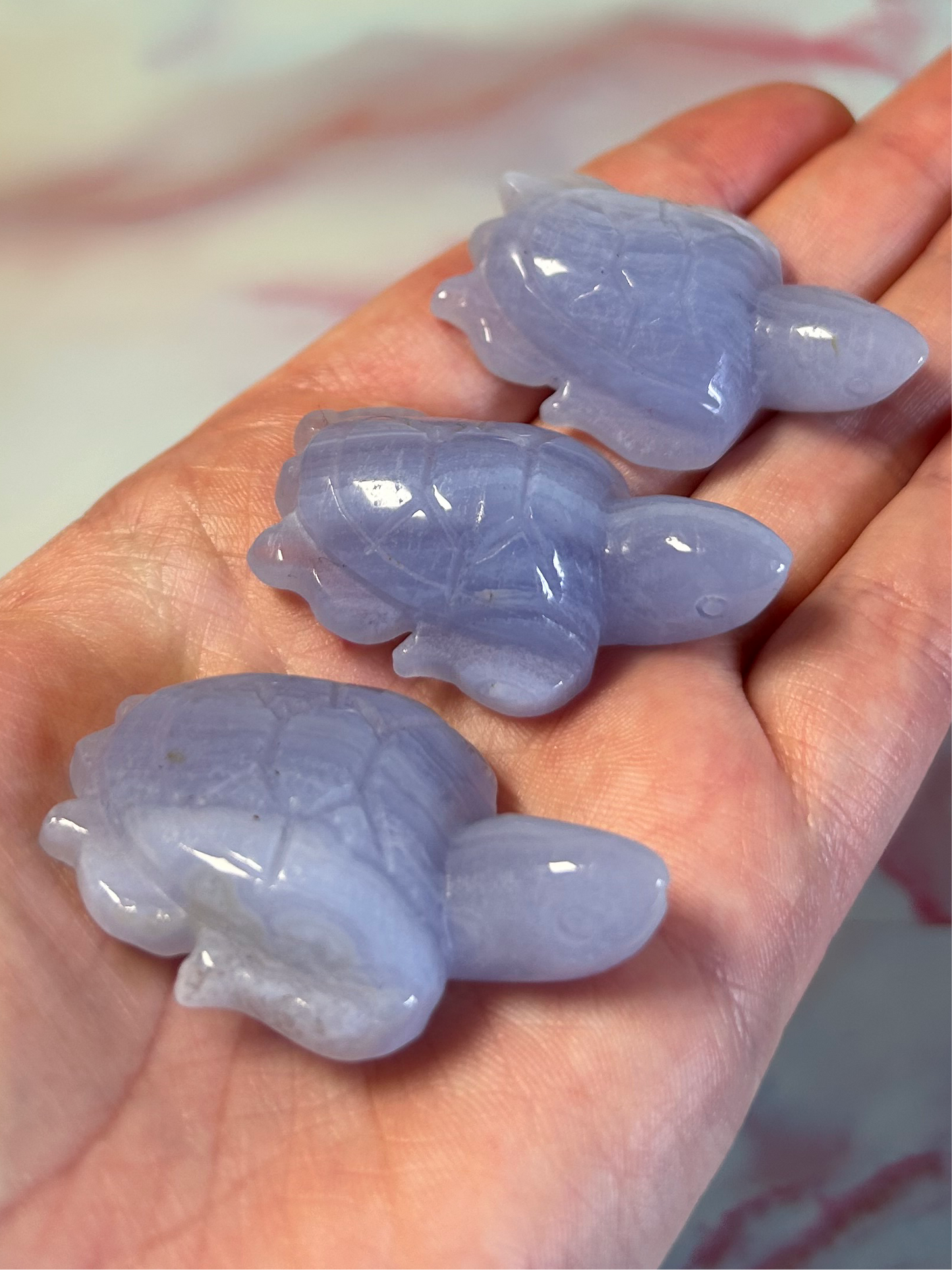 Blue Lace Agate Turtles