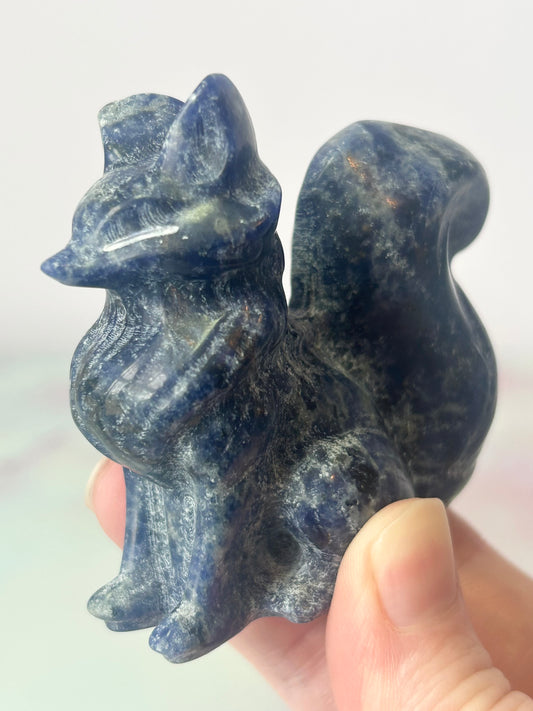Sodalite Fox