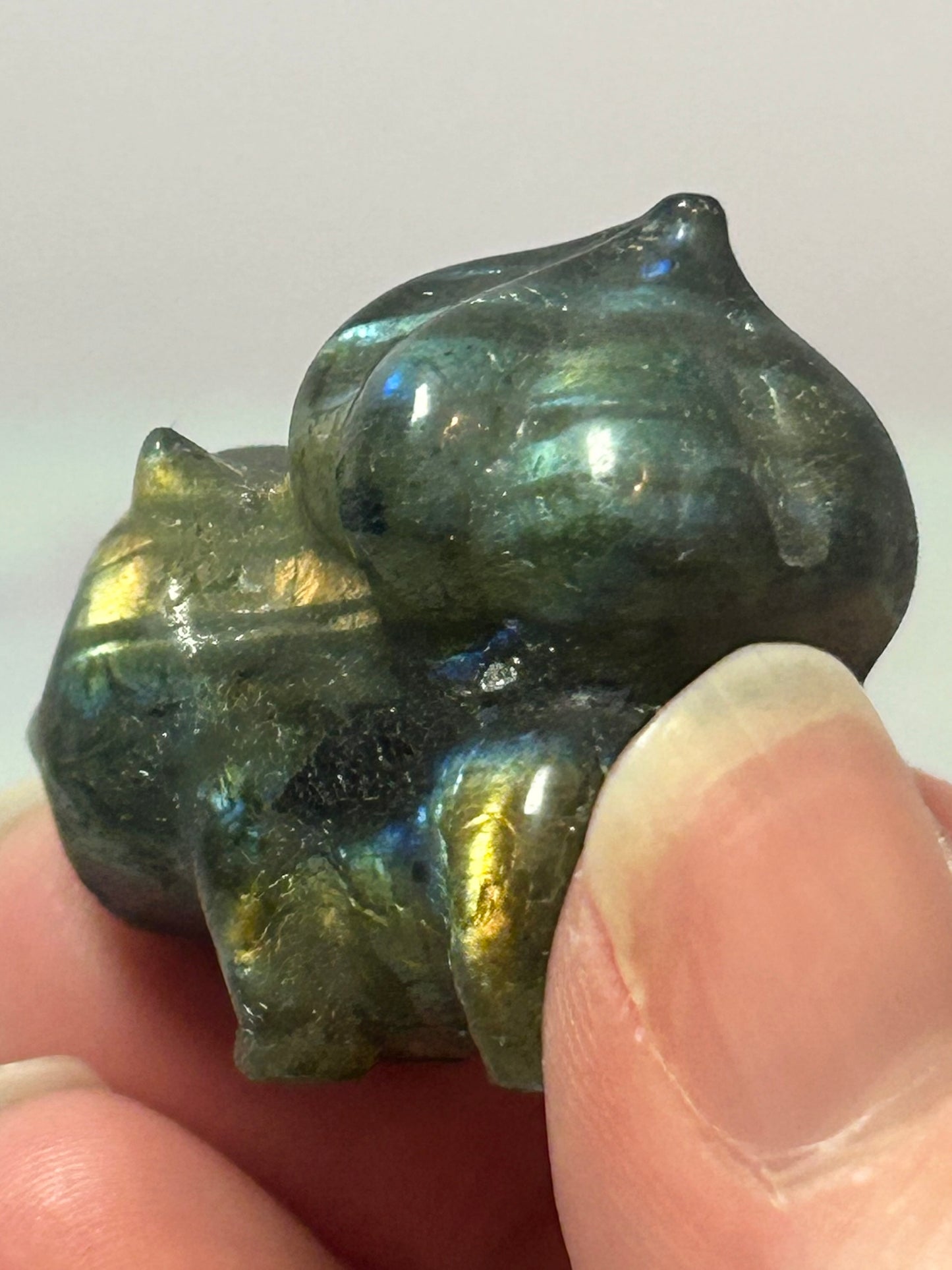 Labradorite Bulbasaur