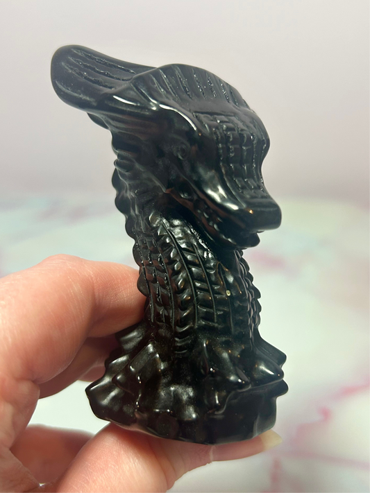 Black Obsidian Dragon