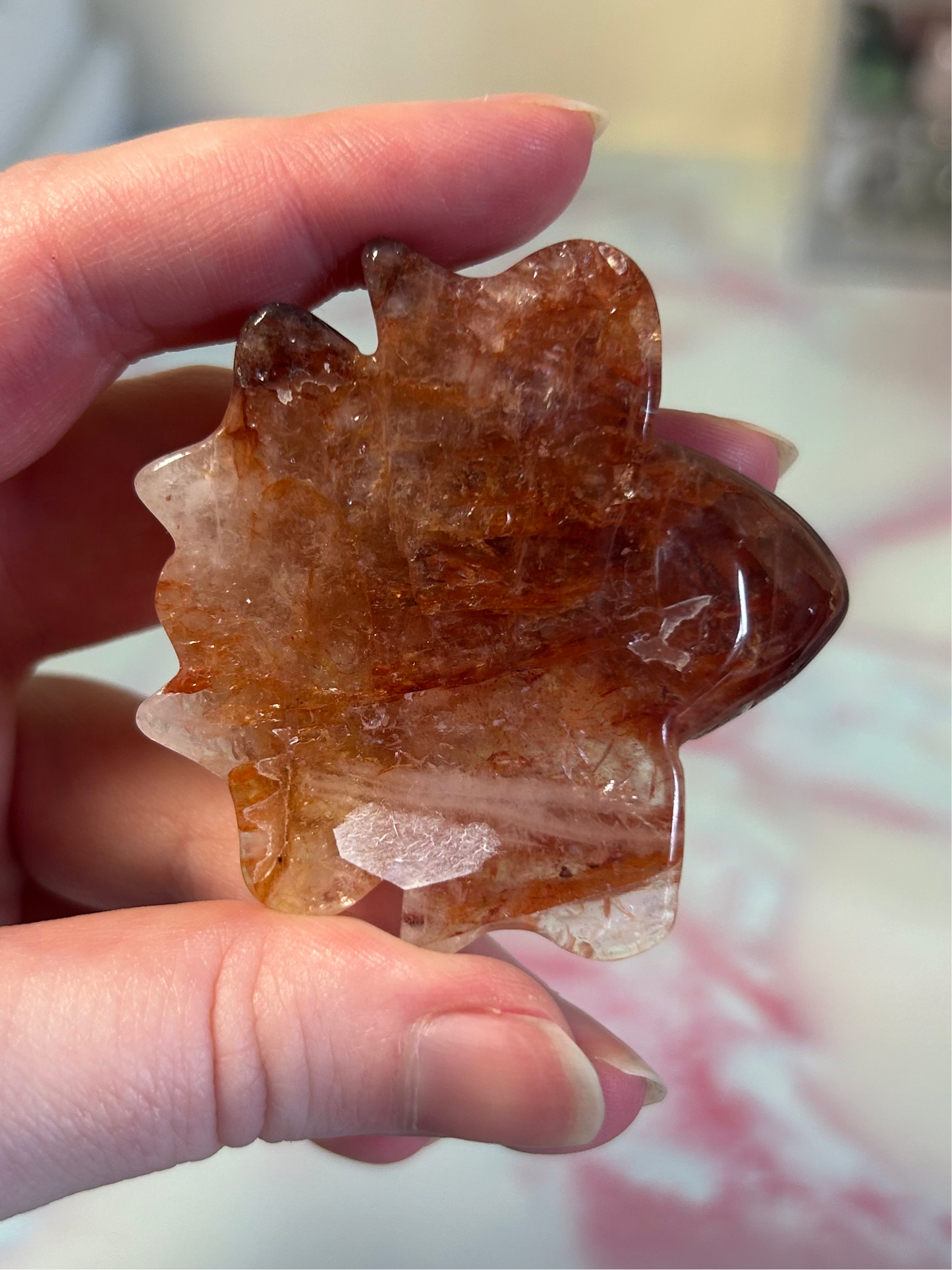 Fire Quartz Turtles