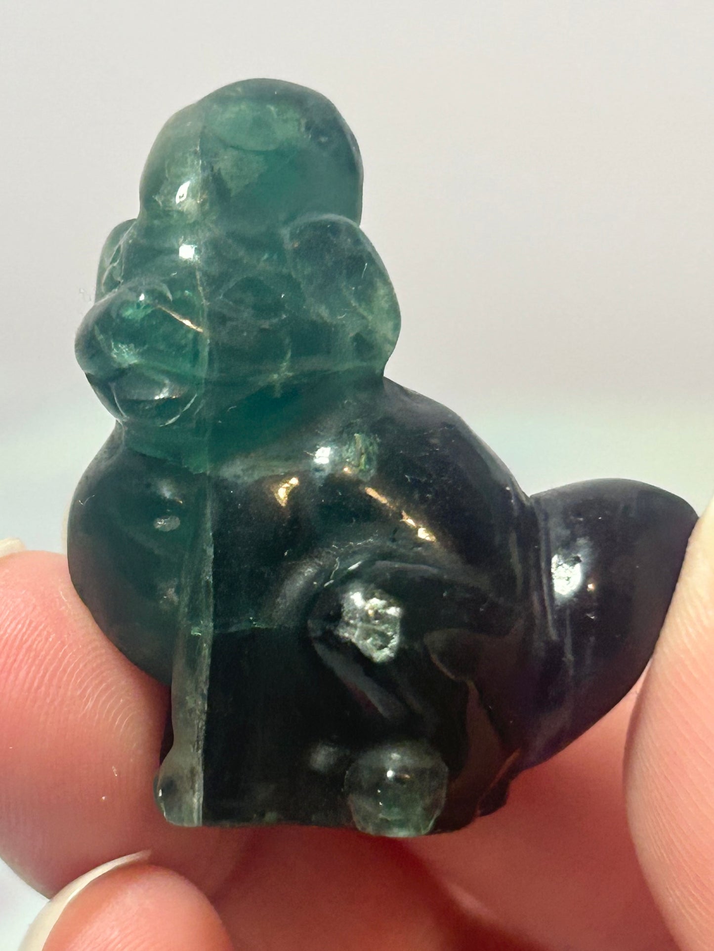 Fluorite Pokemon