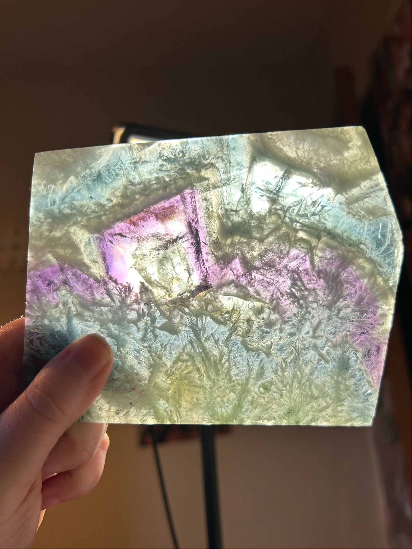 Feather Fluorite Slab D