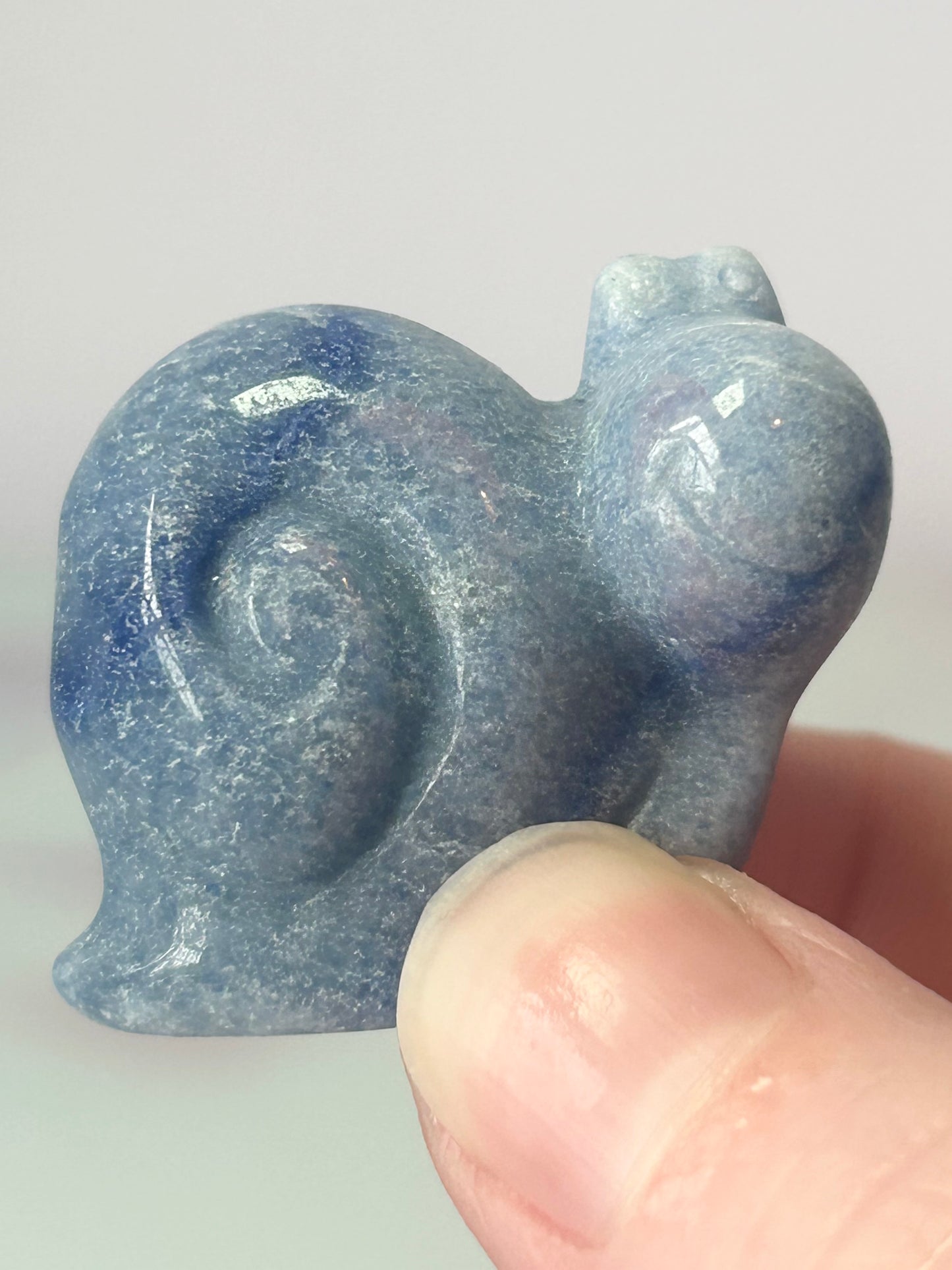 Blue Aventurine Snail