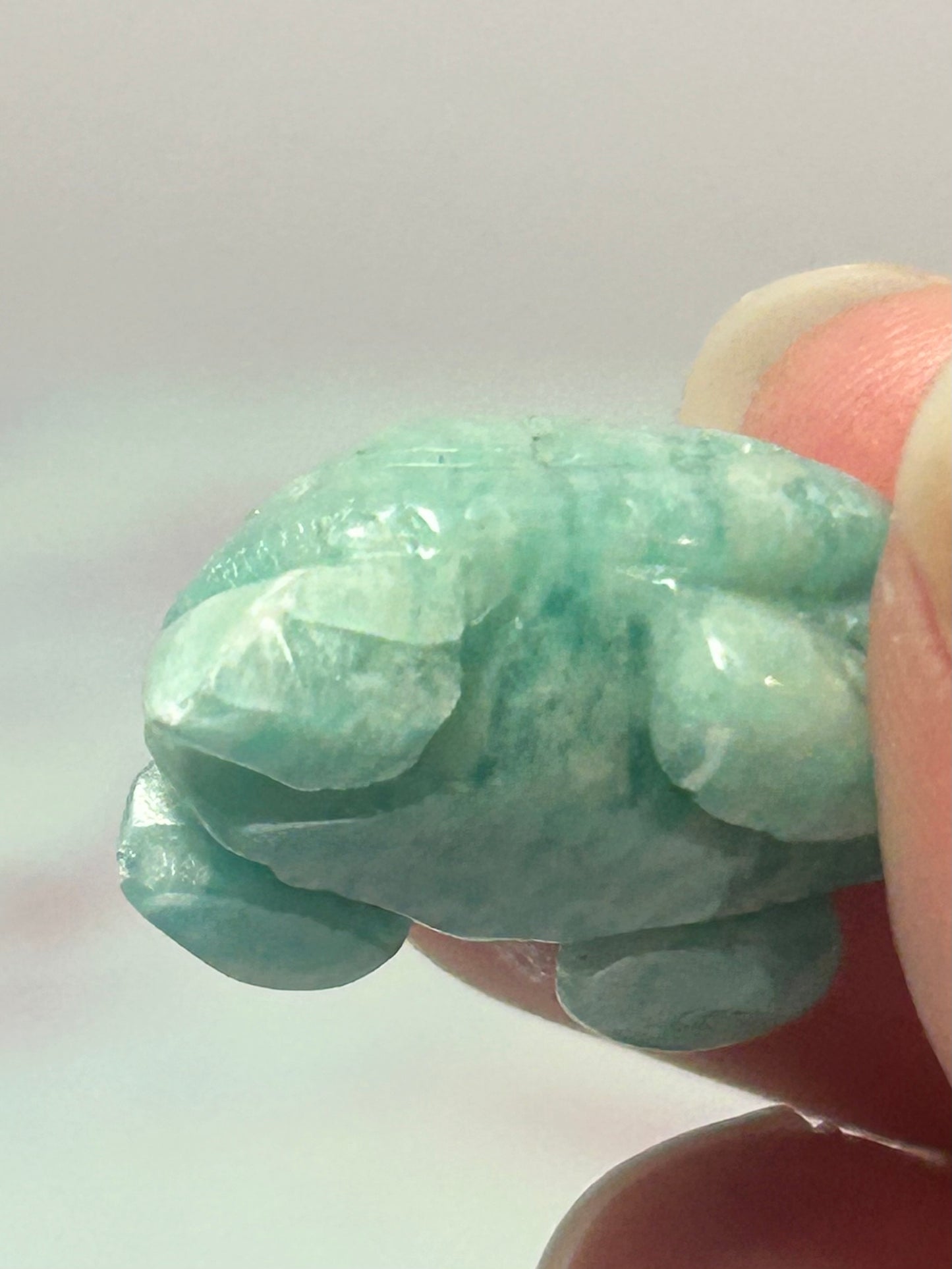 Amazonite Turtle