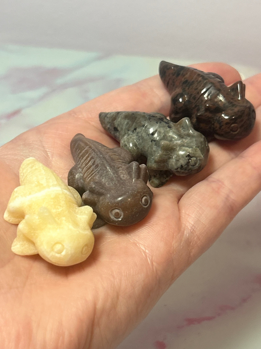 Axolotl Carvings