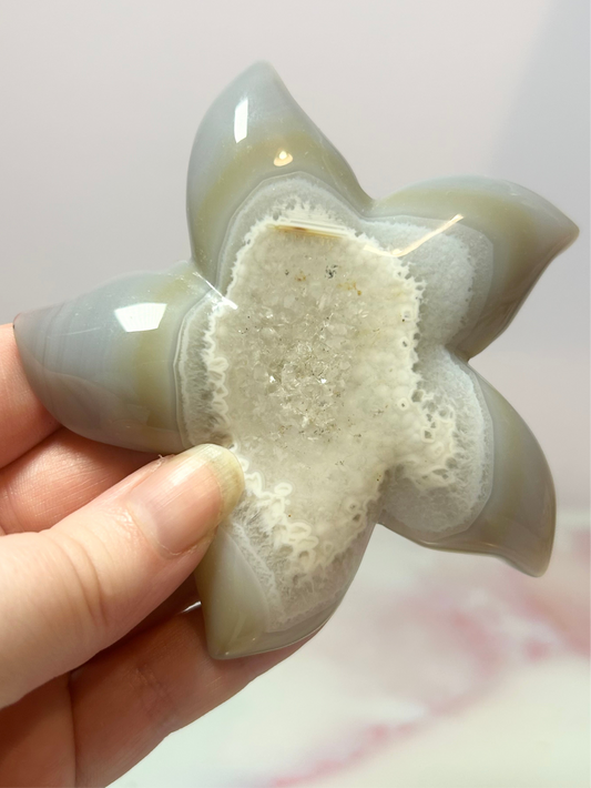 Druzy Agate Starfish