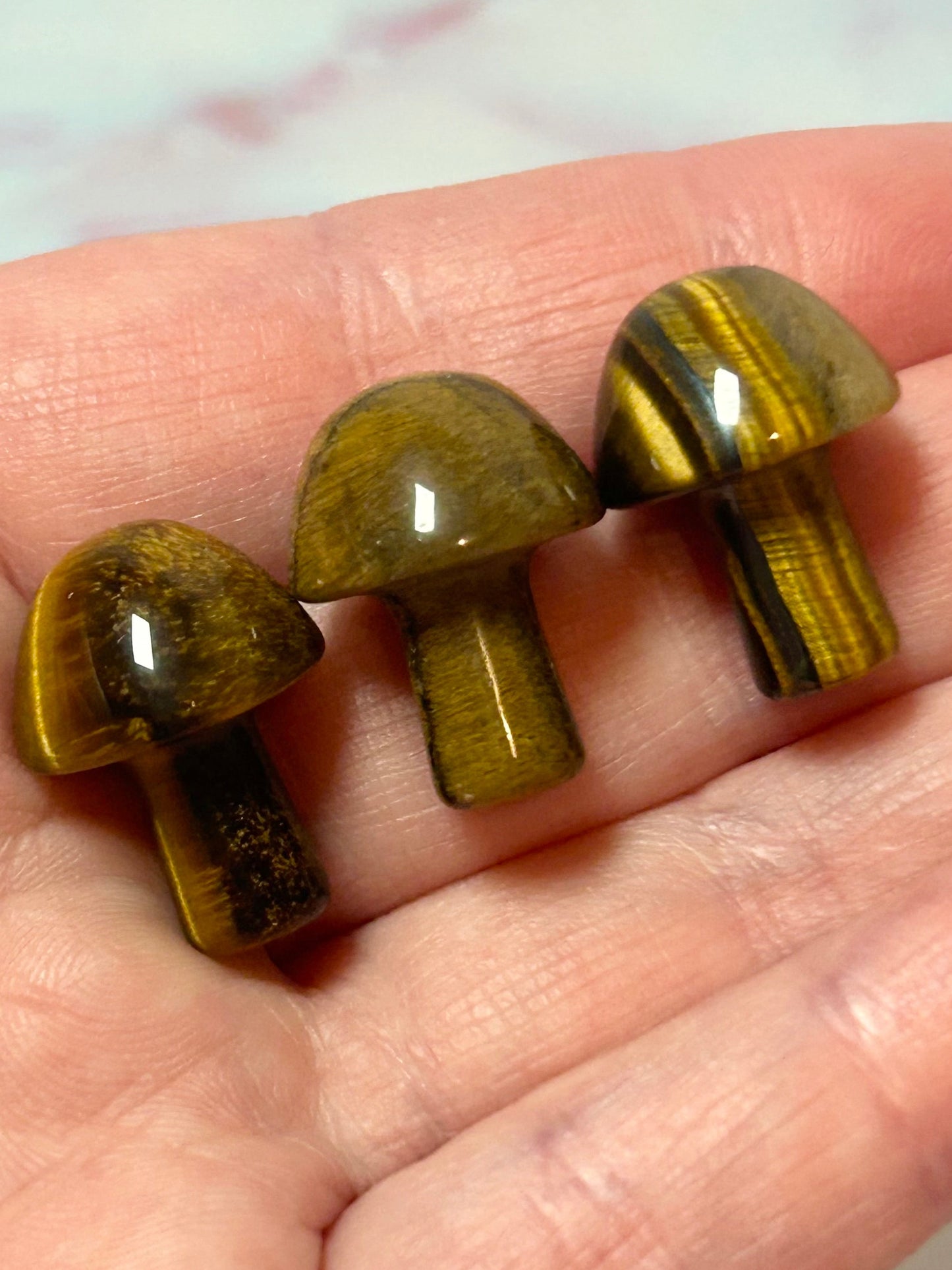 Tigers Eye Mushroom