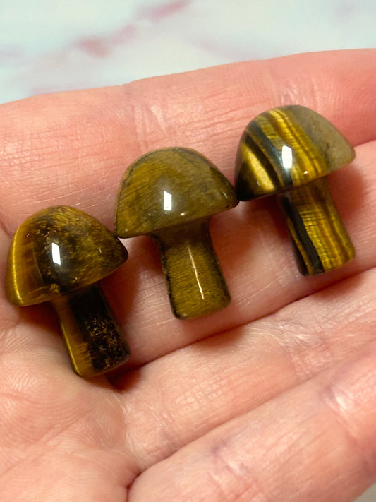 Tigers Eye Mushroom