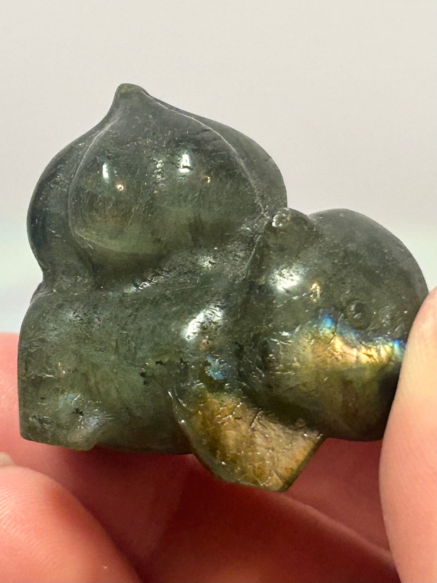 Labradorite Bulbasaur