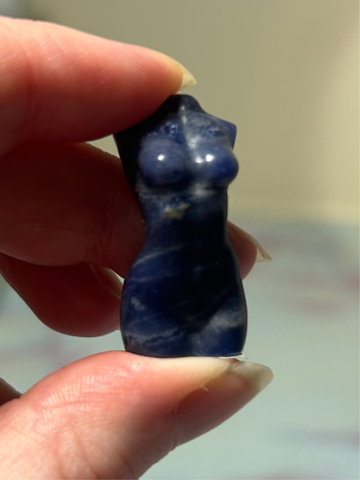 Sodalite Mini Goddess Bodies