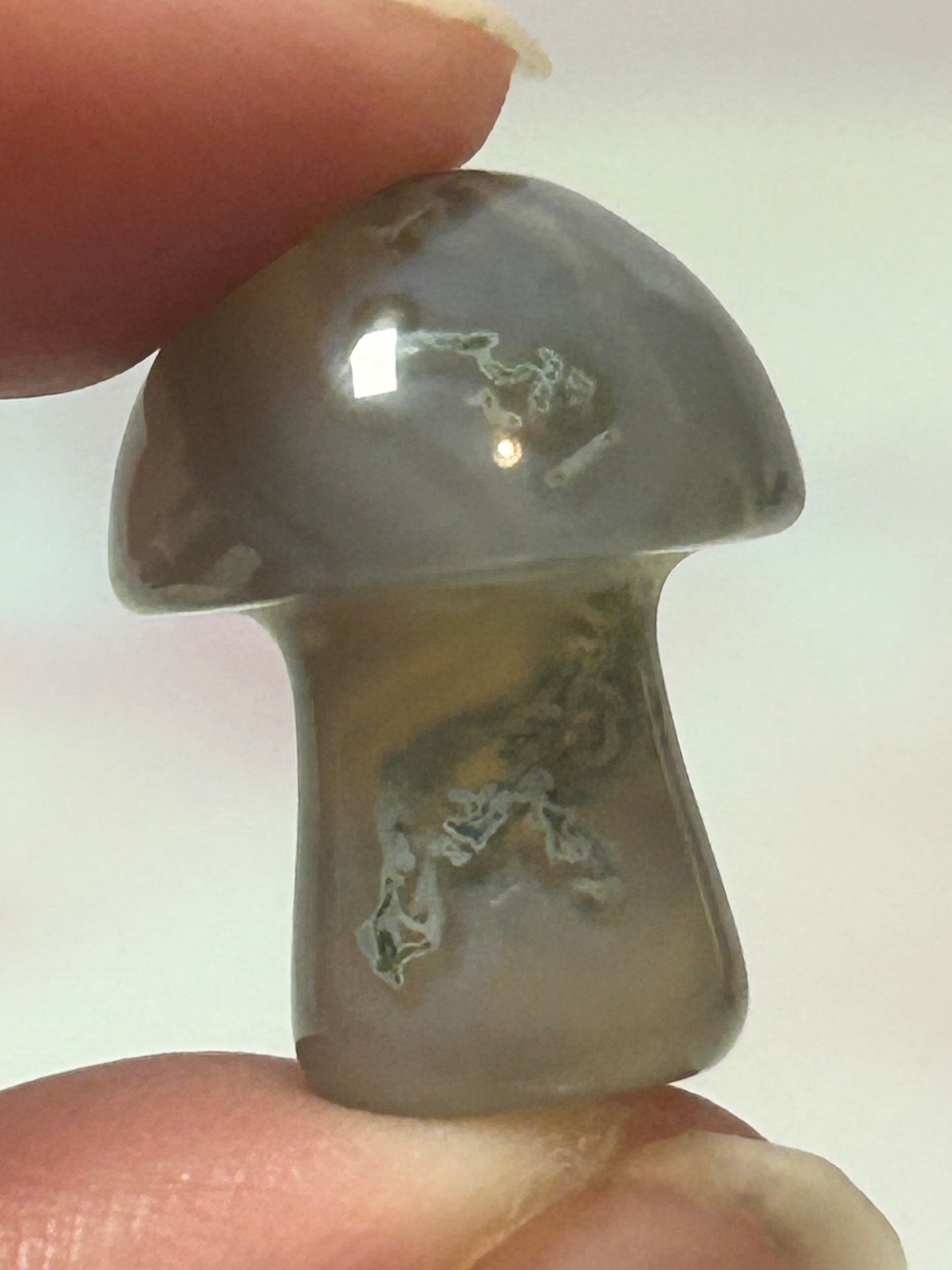 Agate Mushrooms