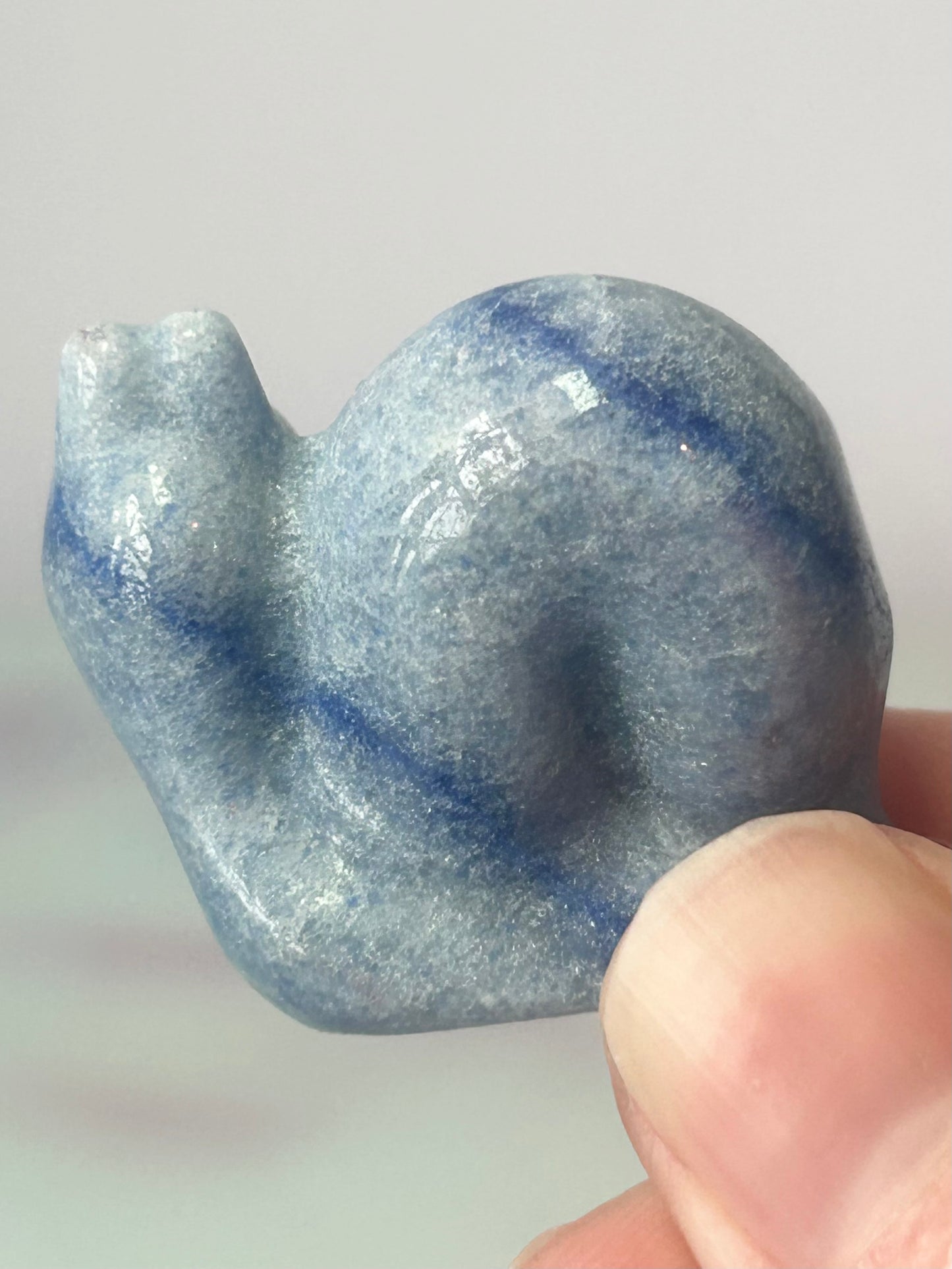 Blue Aventurine Snail