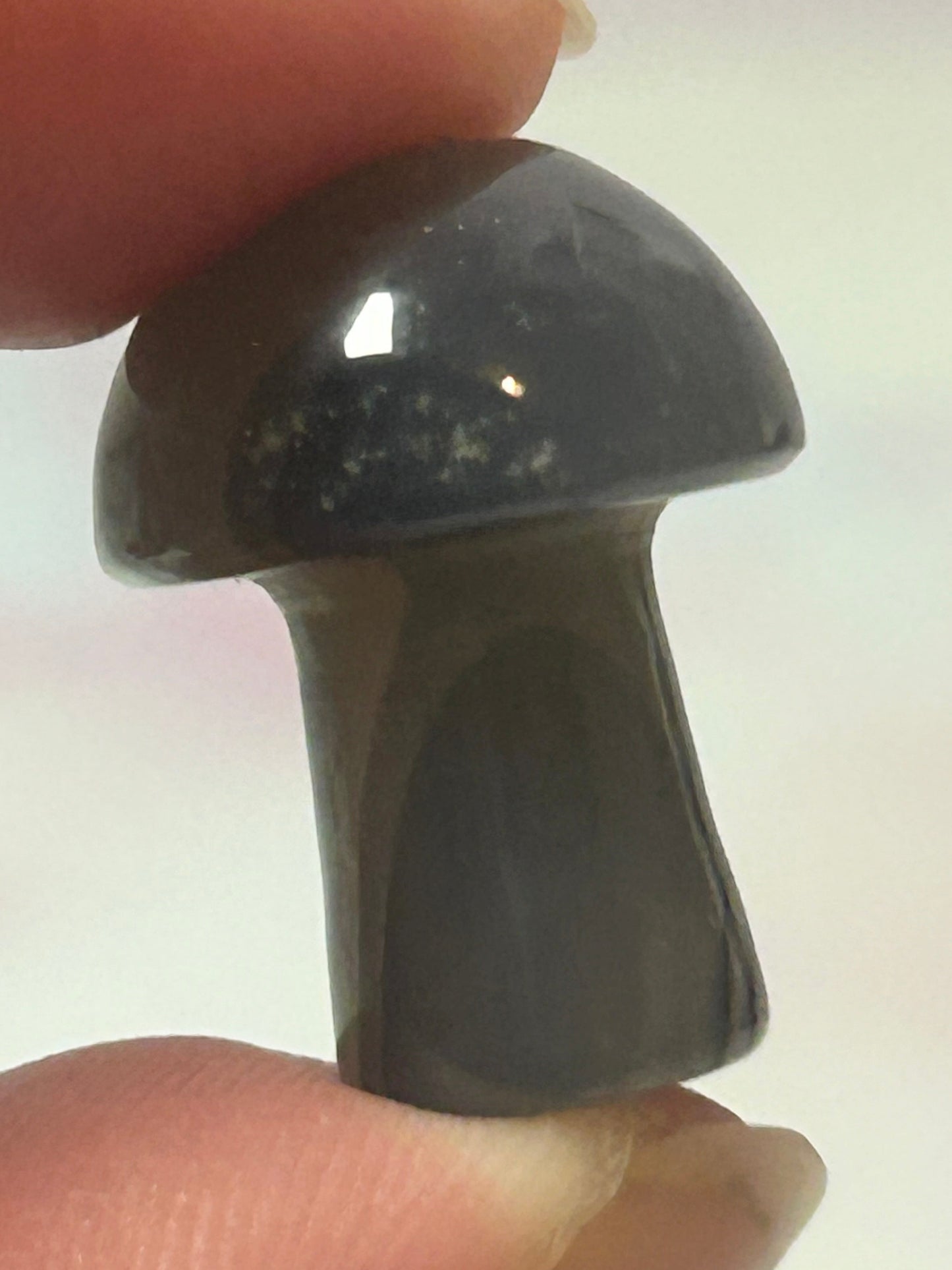 Agate Mushrooms
