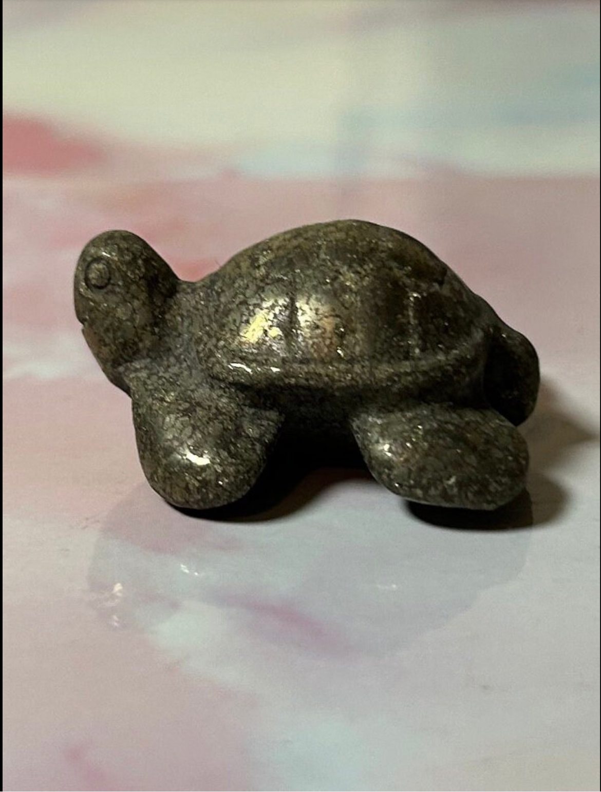 Pyrite Turtles