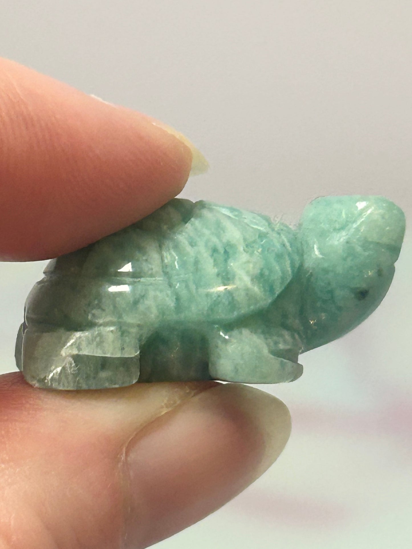 Amazonite Turtle