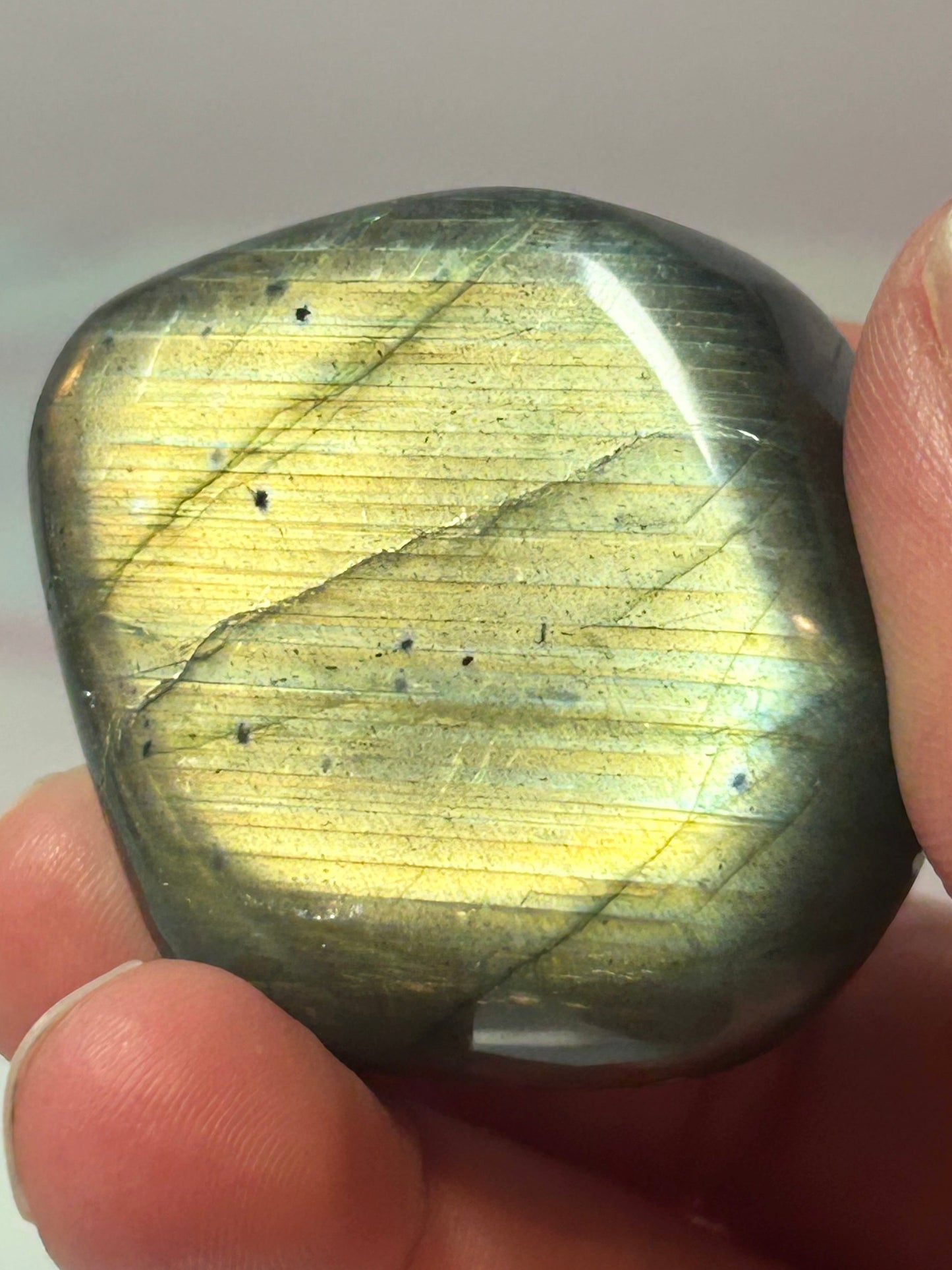Labradorite Freeform E