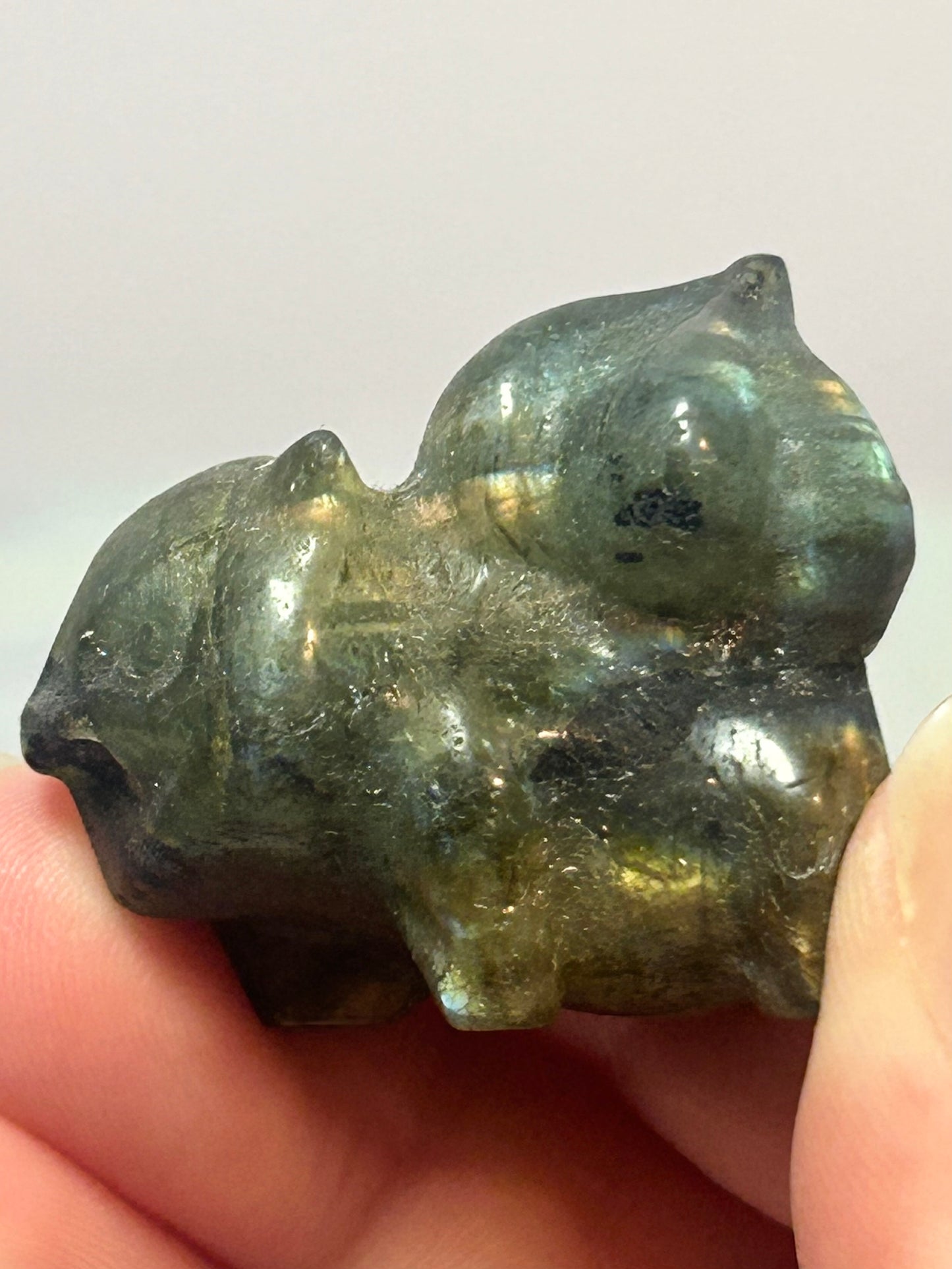 Labradorite Bulbasaur