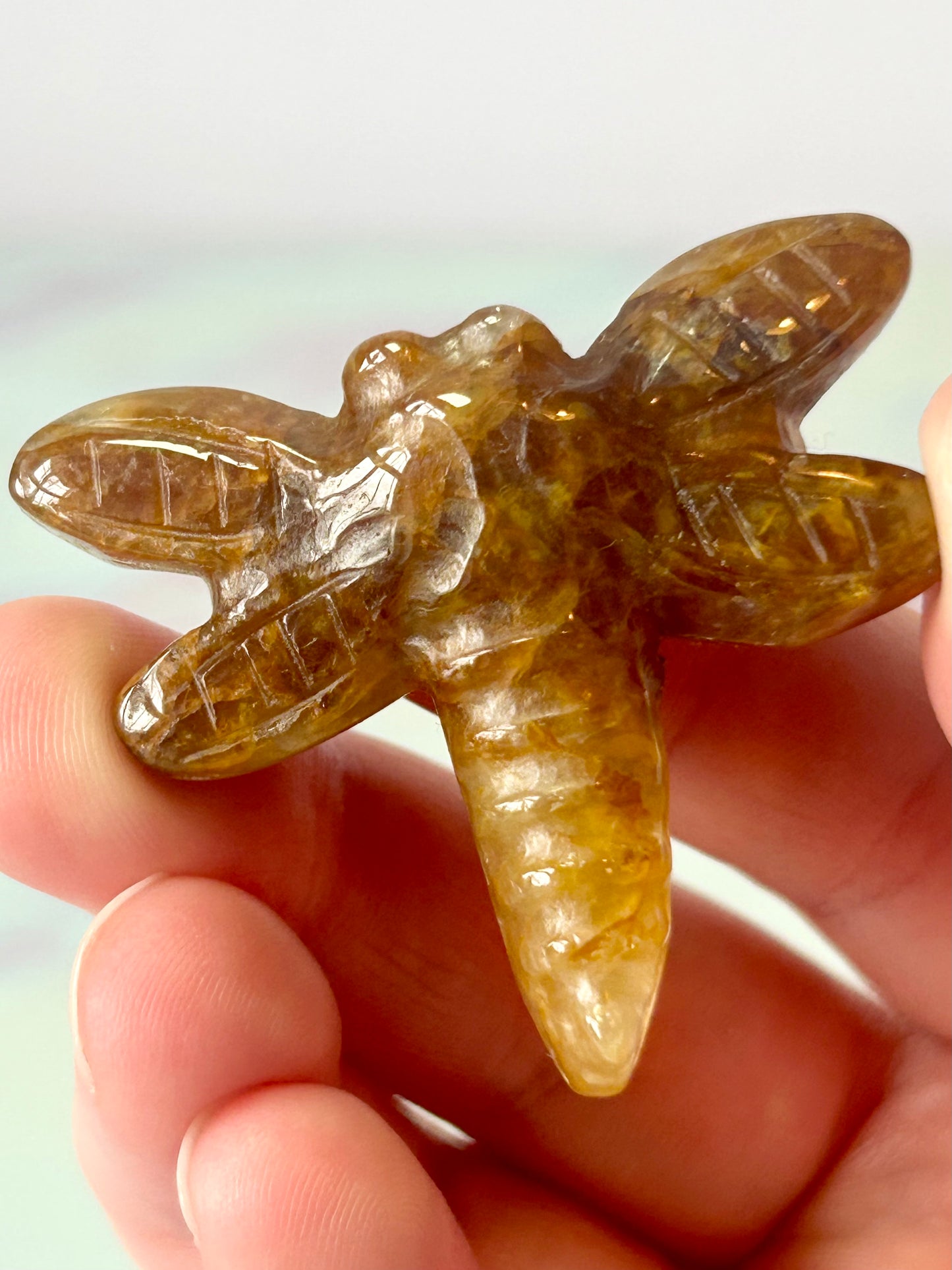 Golden Healer Dragonfly