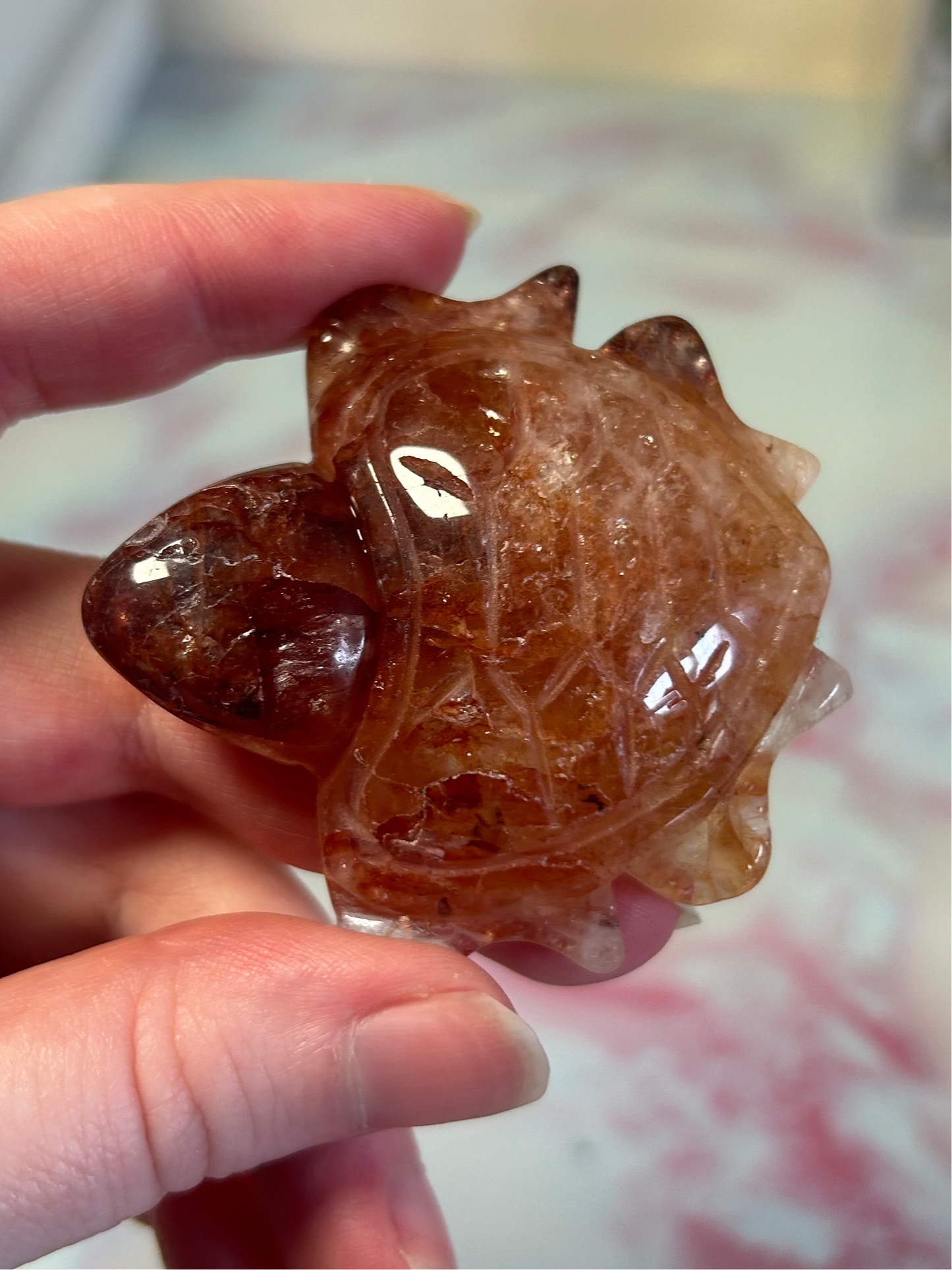 Fire Quartz Turtles