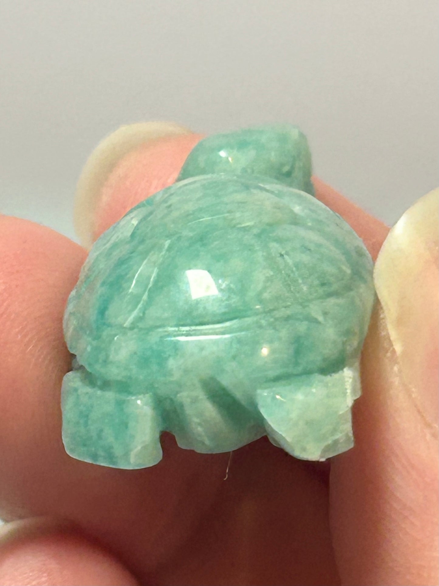 Amazonite Turtle