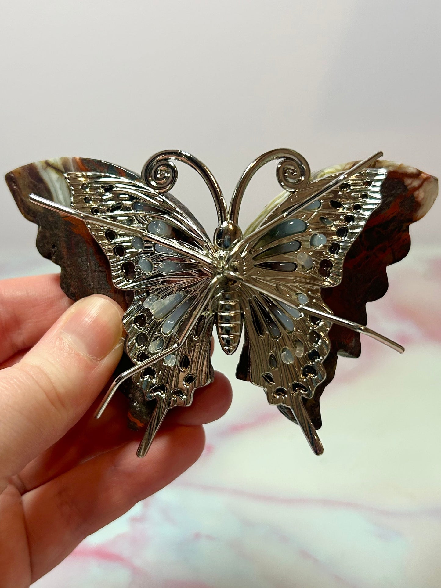 Mexican Agate Butterfly A
