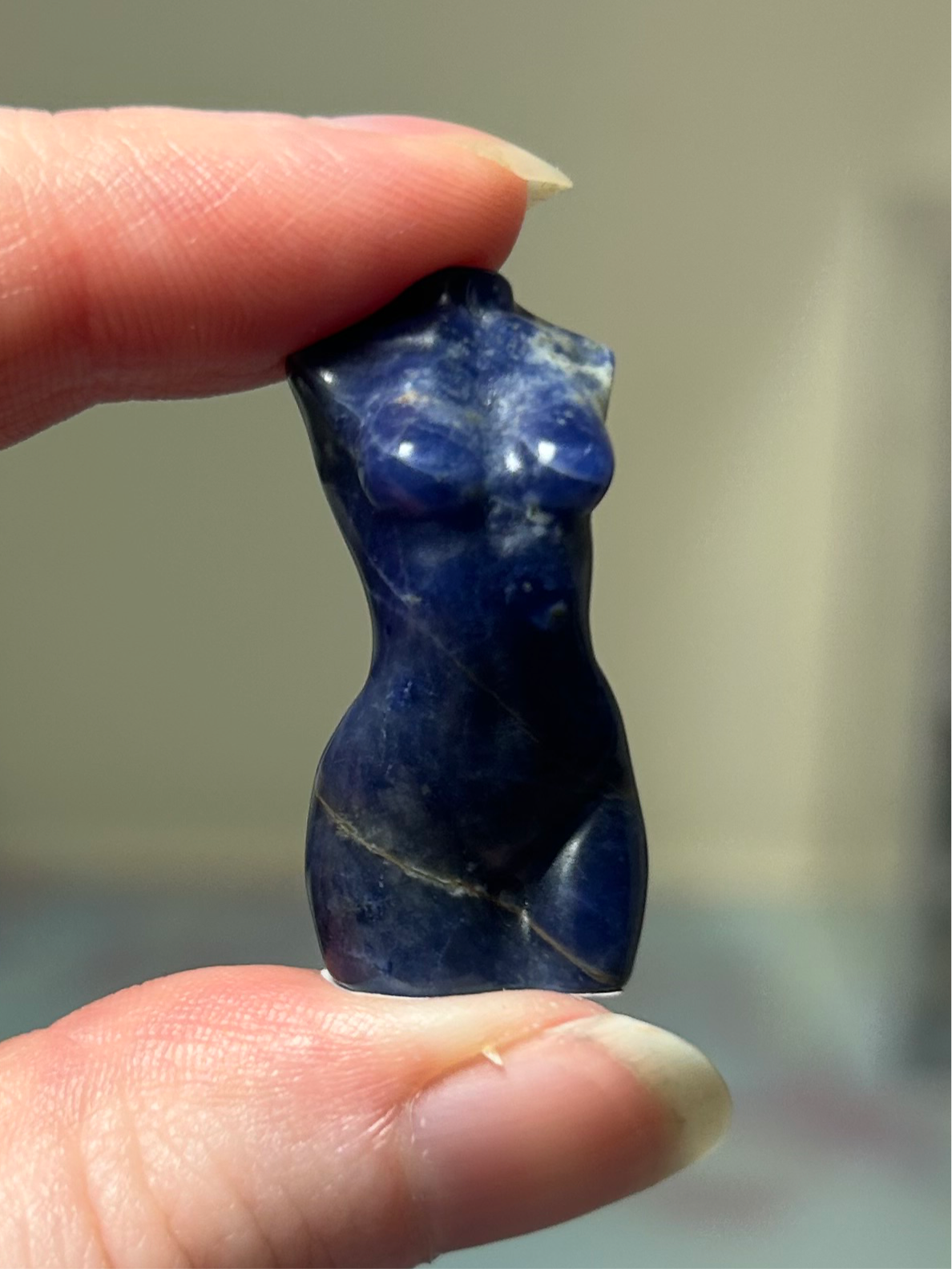 Sodalite Mini Goddess Bodies